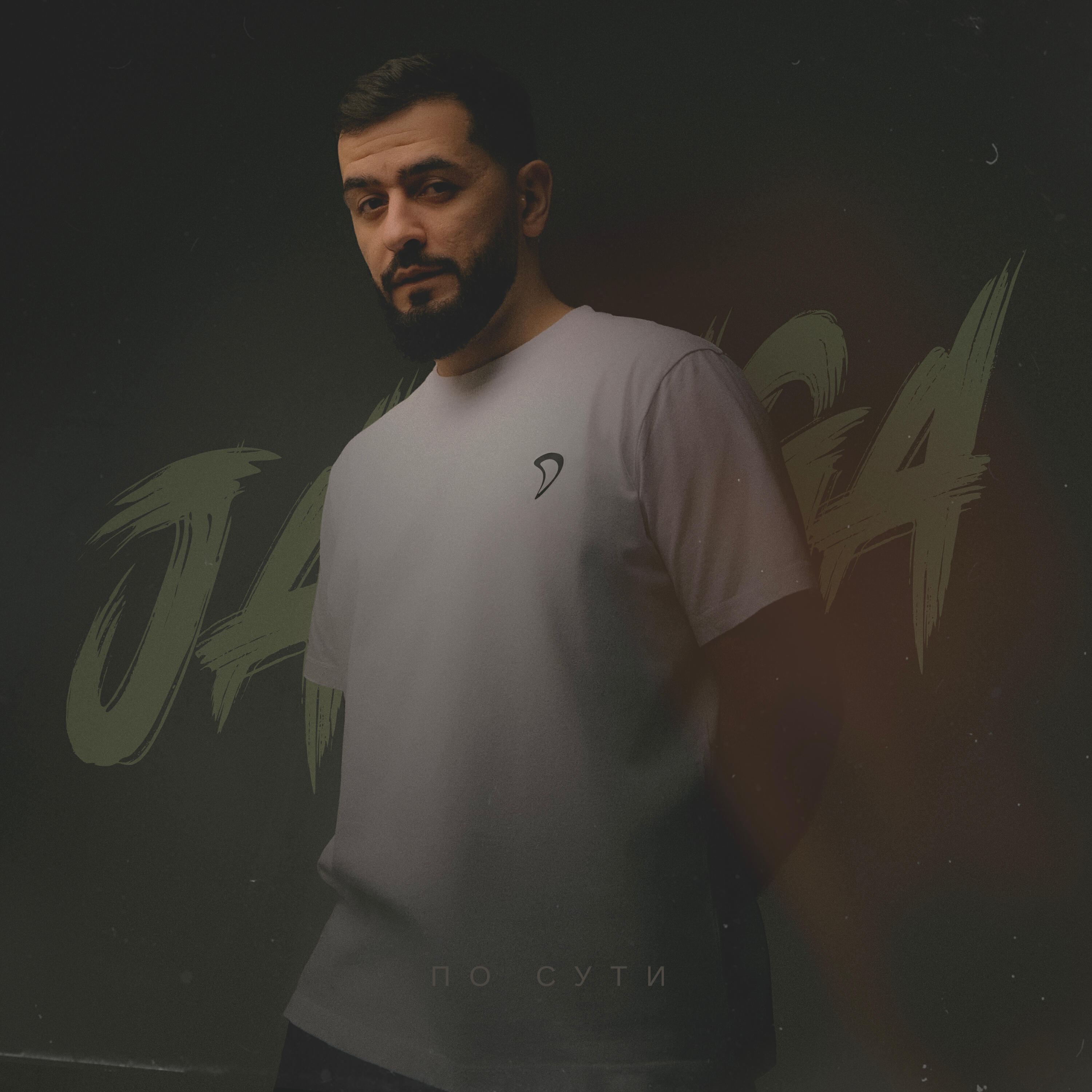 Альбом По сути исполнителя JANAGA