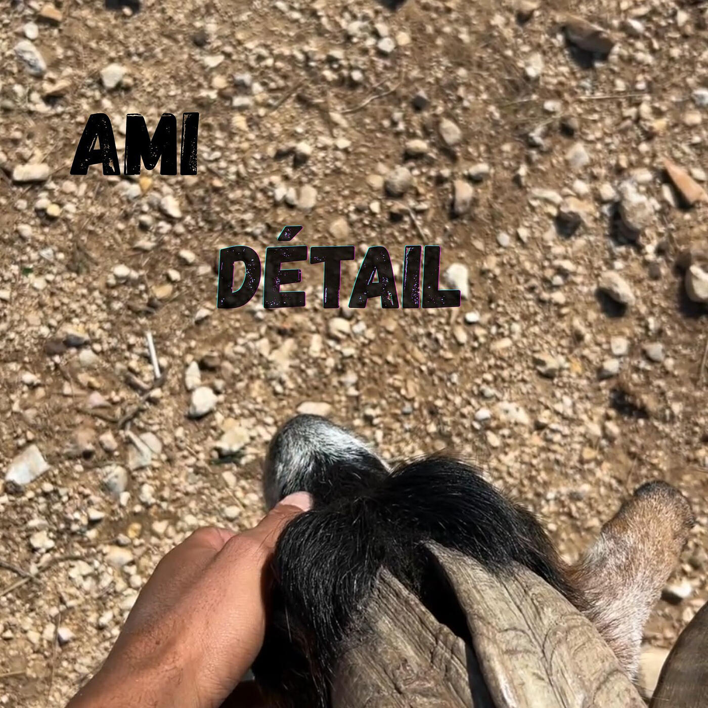 Détail