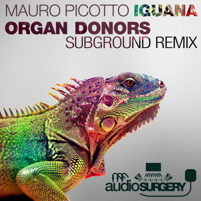 Сингл Iguana (Organ Donors Subground Rework) исполнителя Mauro Picotto