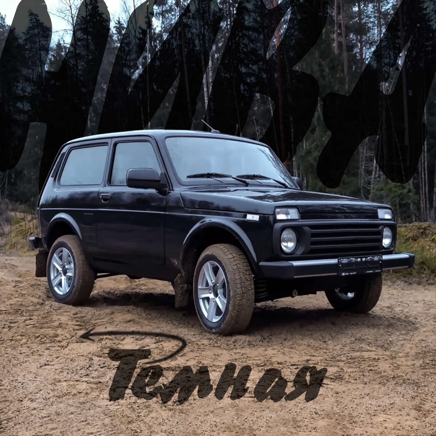 Нива Тёмная
