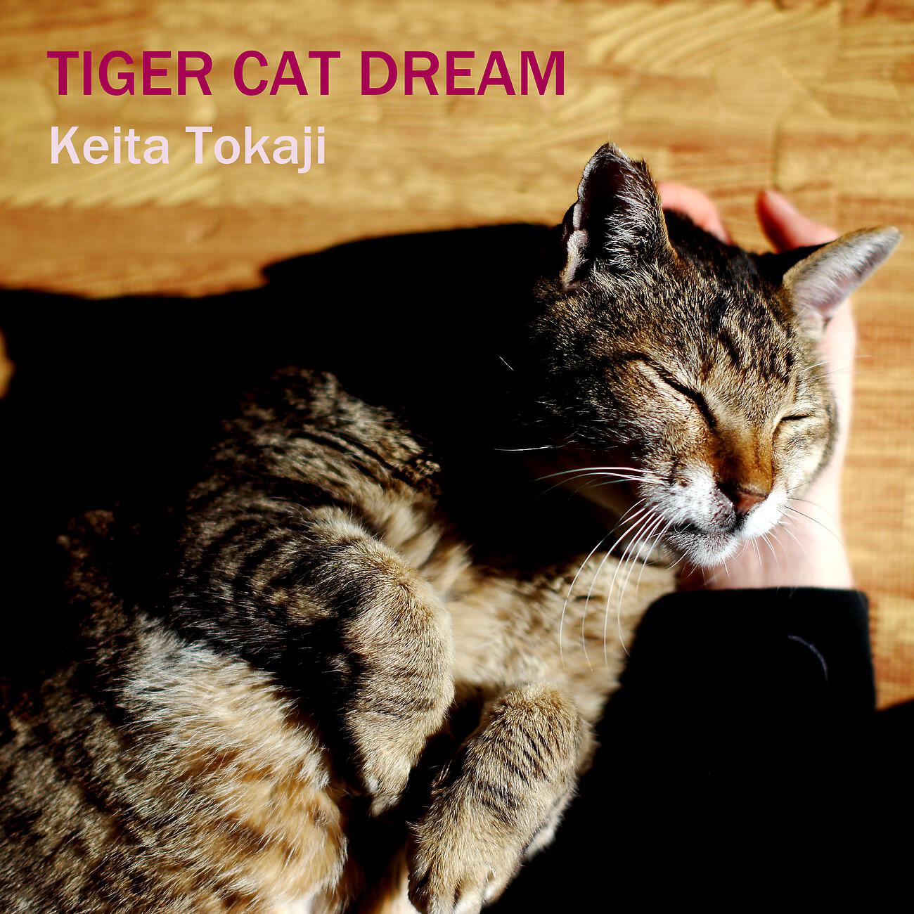 Keita・T