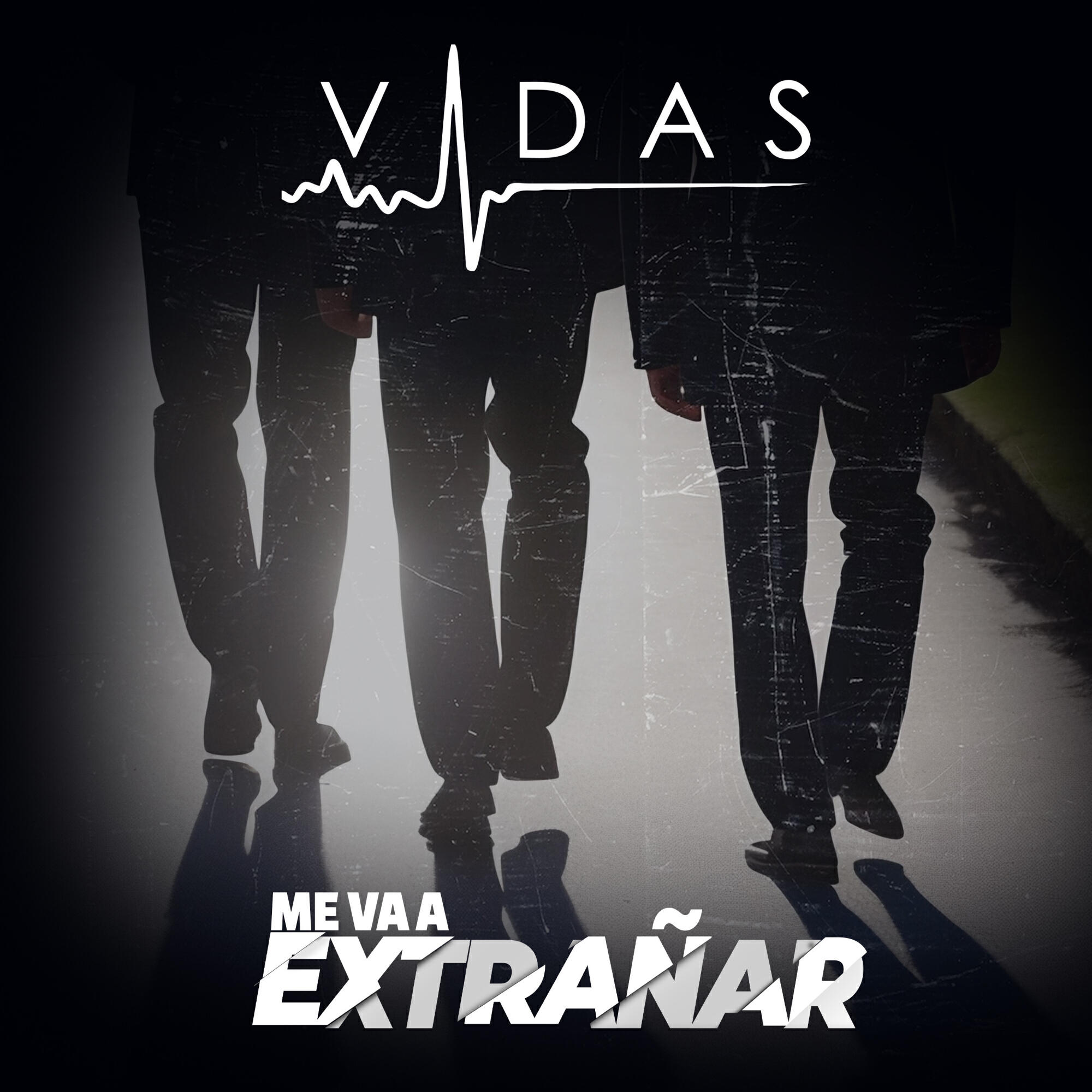 Vidas