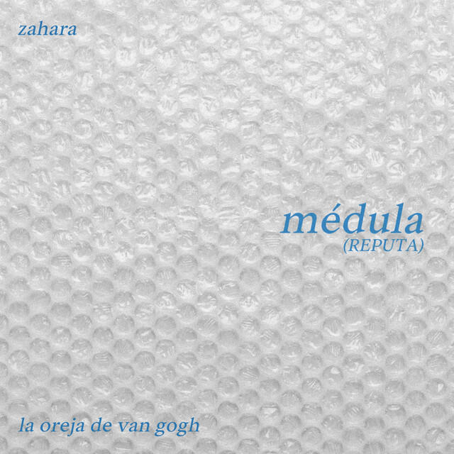 médula (REPUTA)