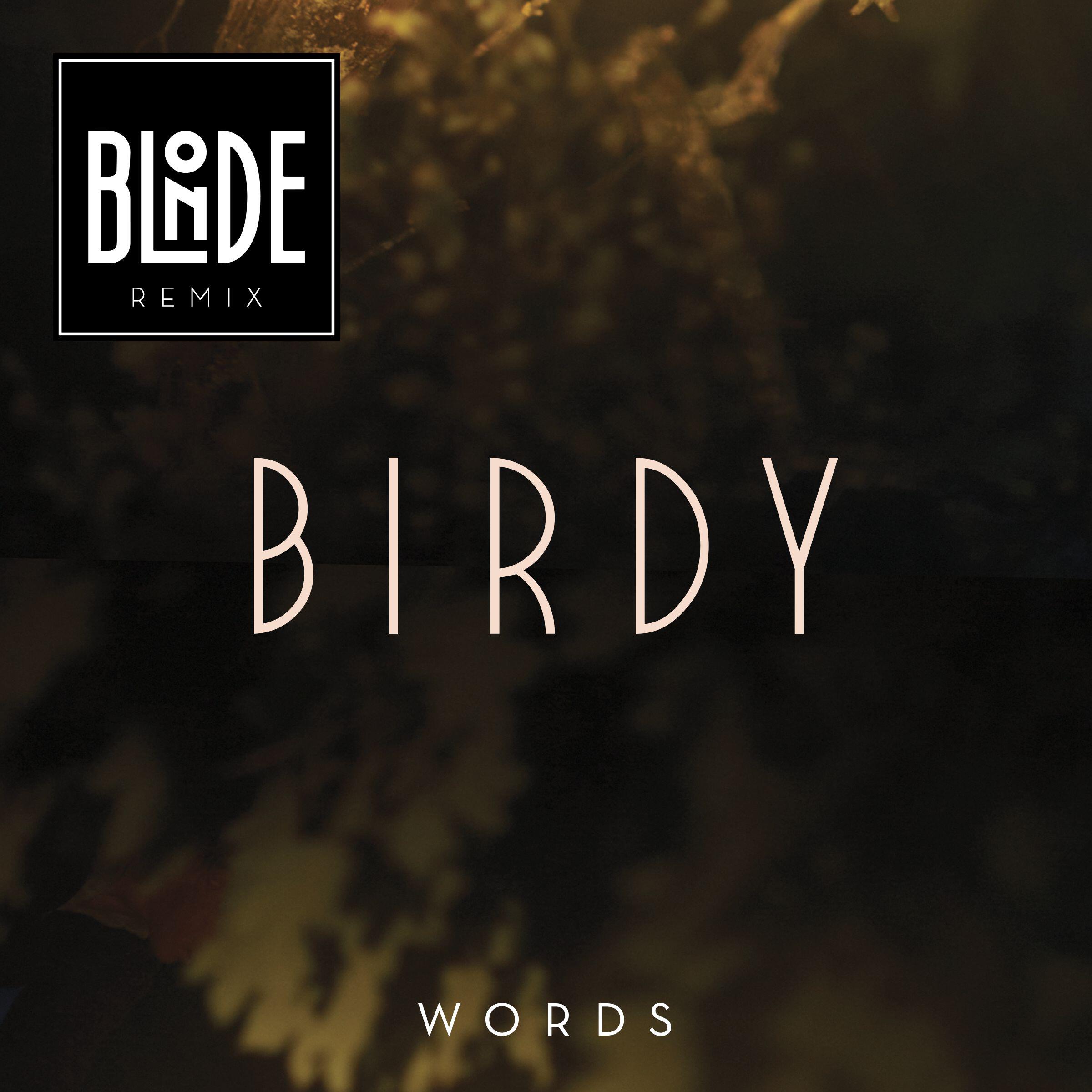Альбом Words (Blonde Remix) [Extended] исполнителя Birdy