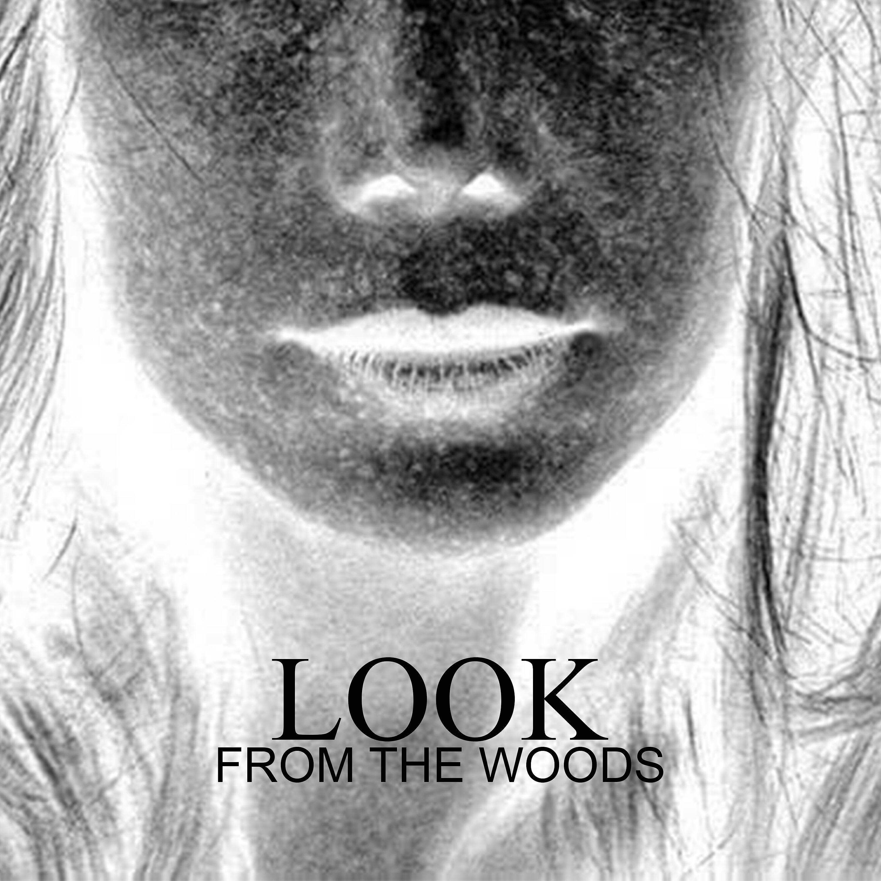 Альбом From the Woods исполнителя Look
