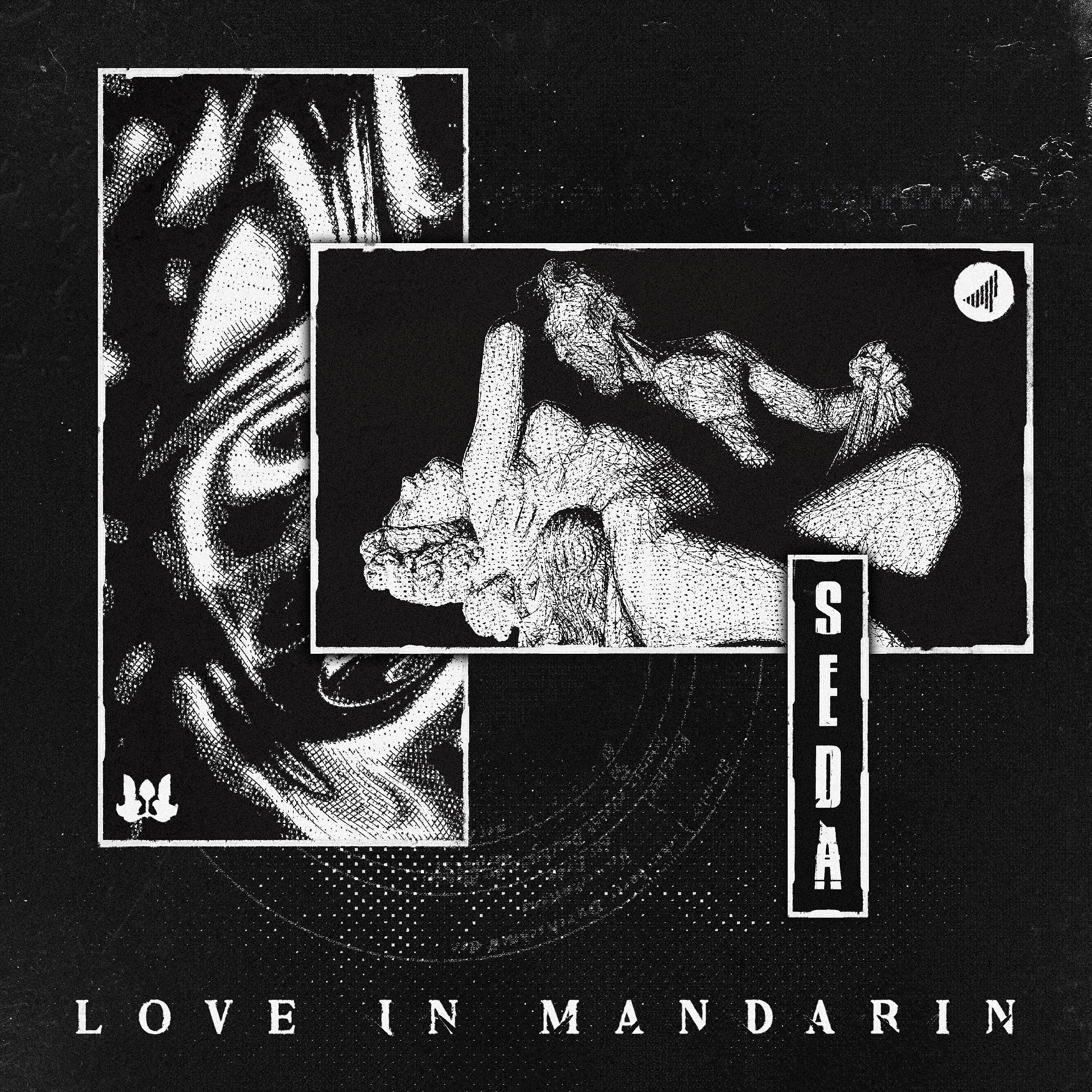 Love In Mandarin