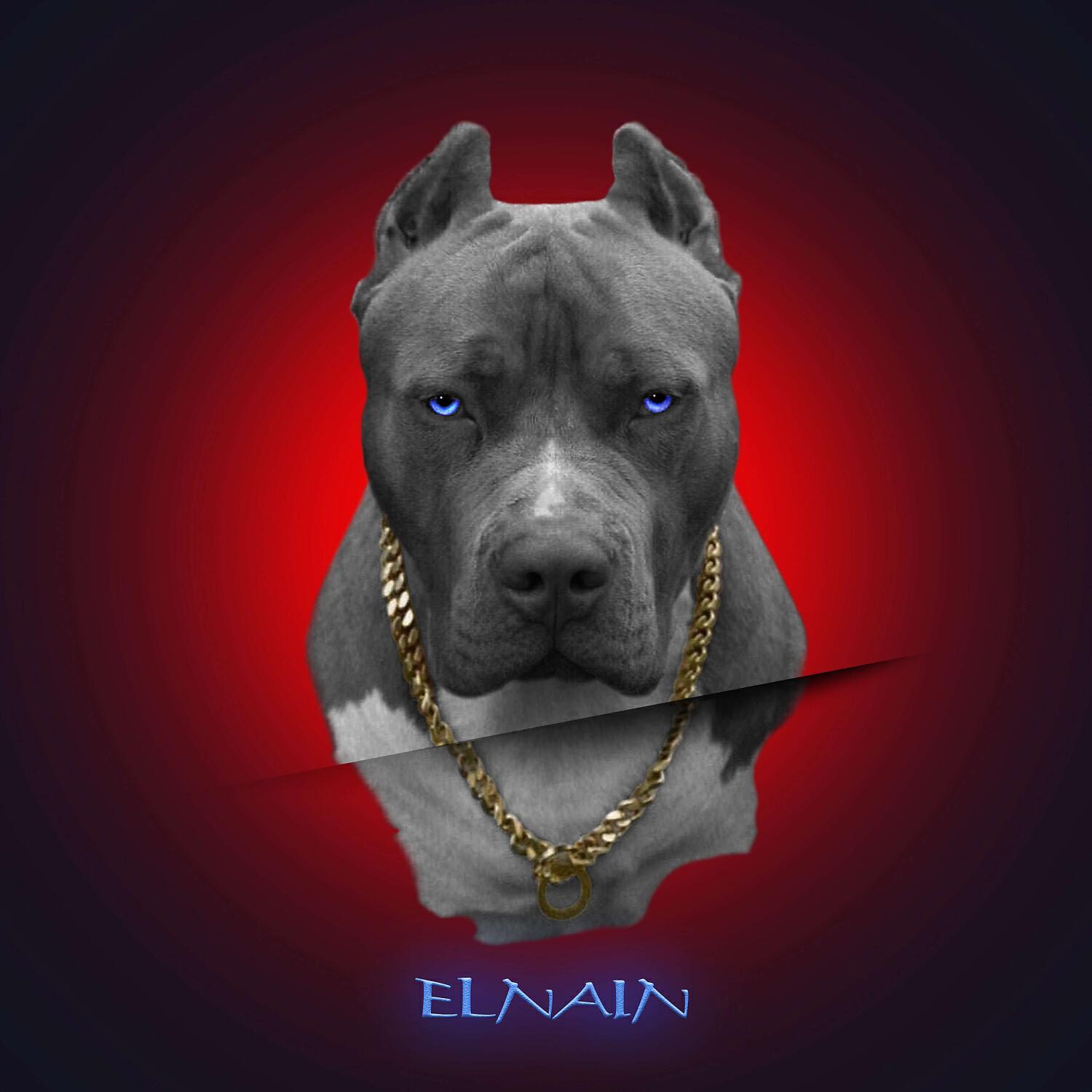 Альбом Не парься исполнителя ELNAIN