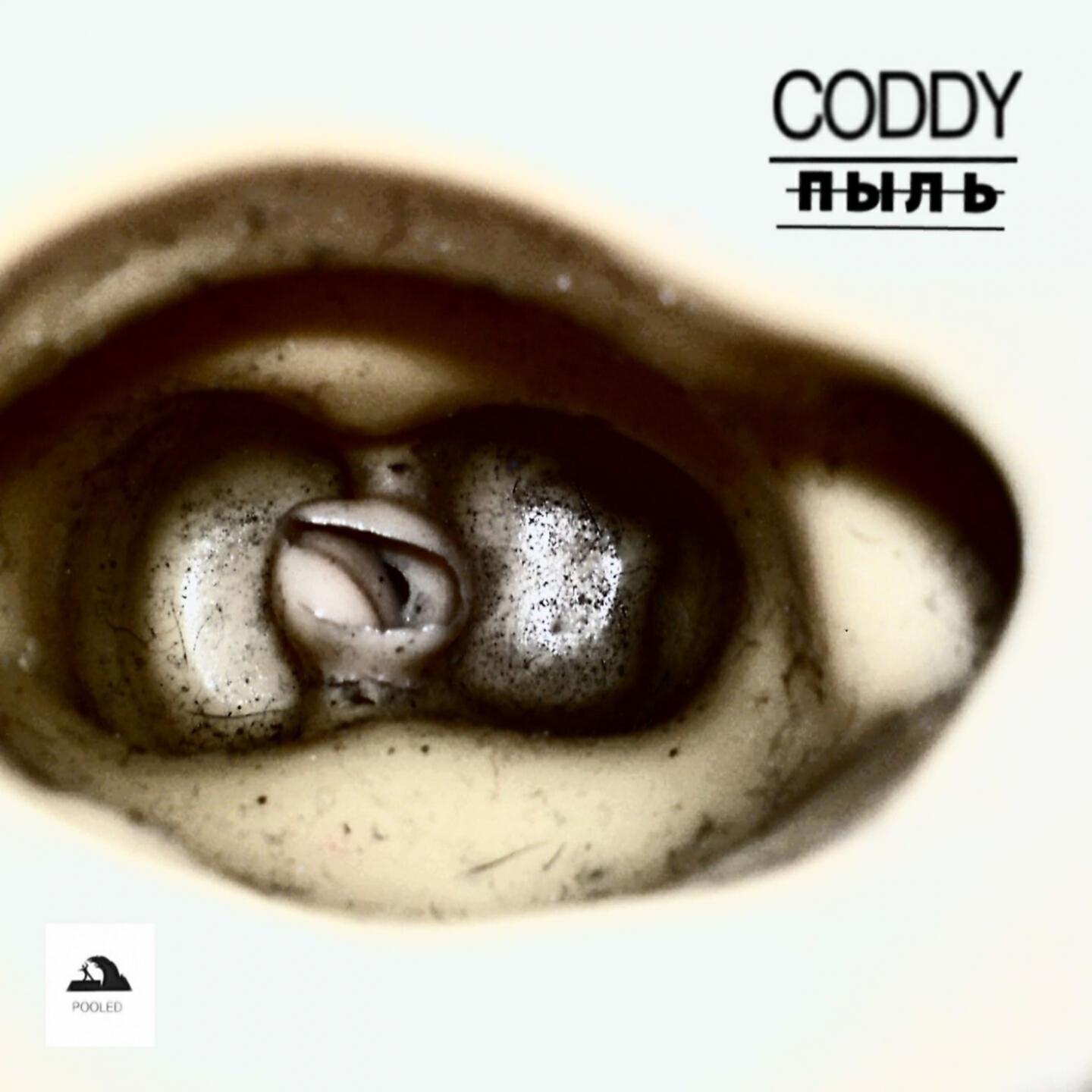 Coddy, Gillia - Утонет