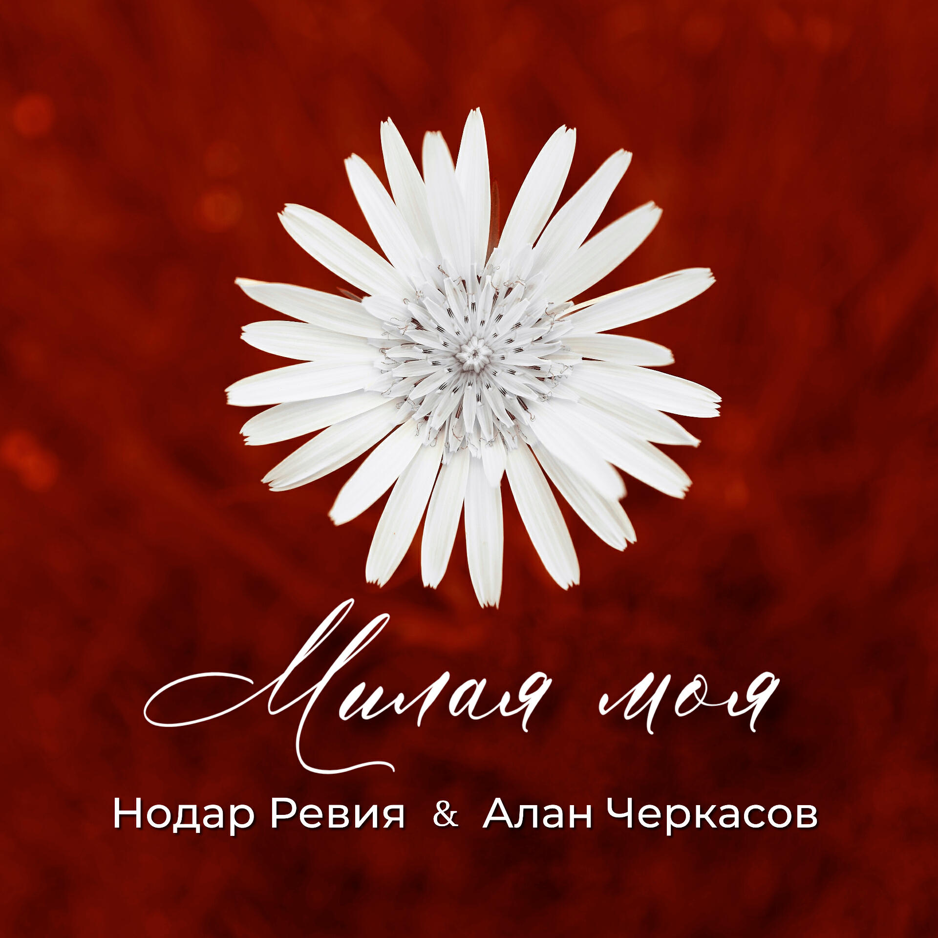 Милая моя