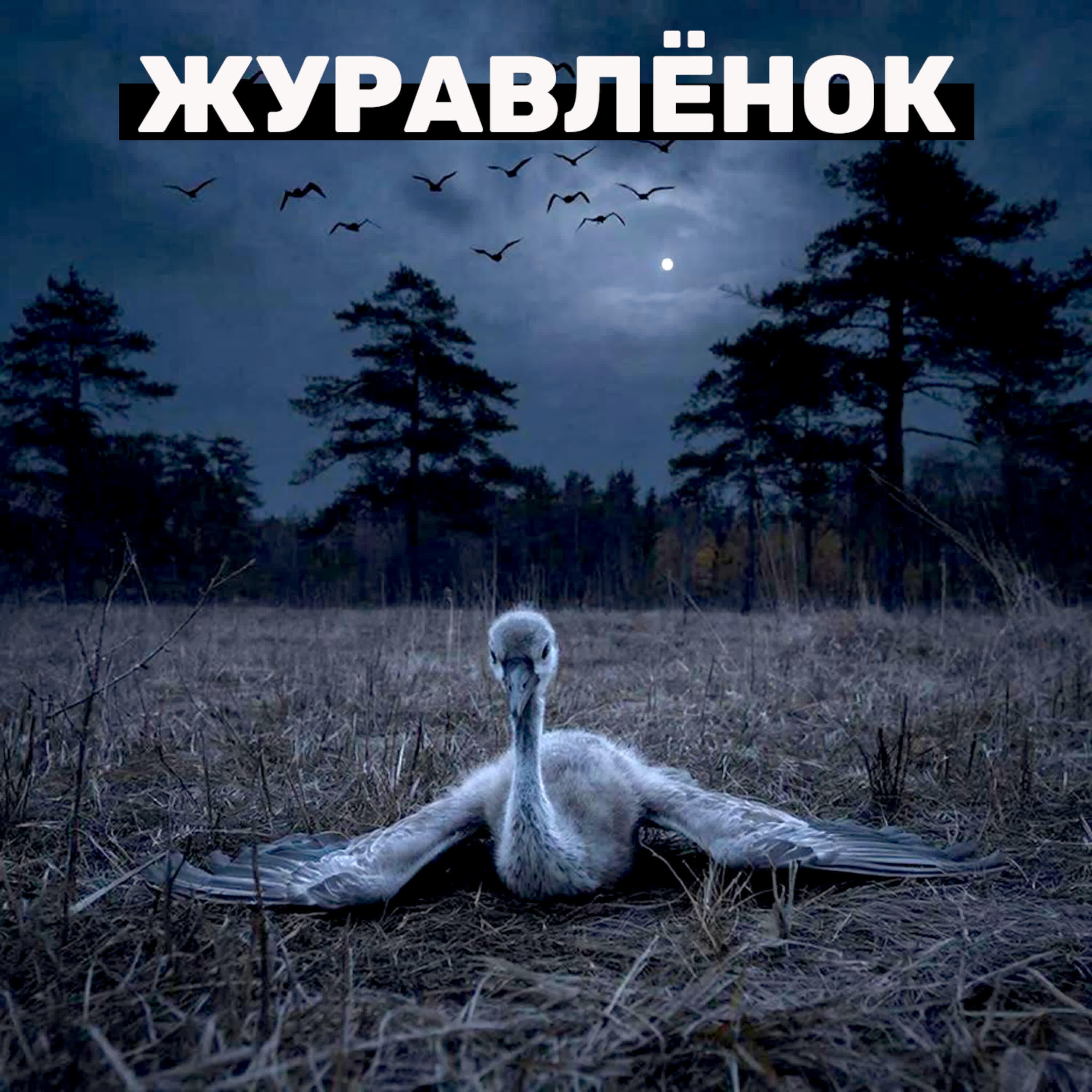 ЖУРАВЛЁНОК