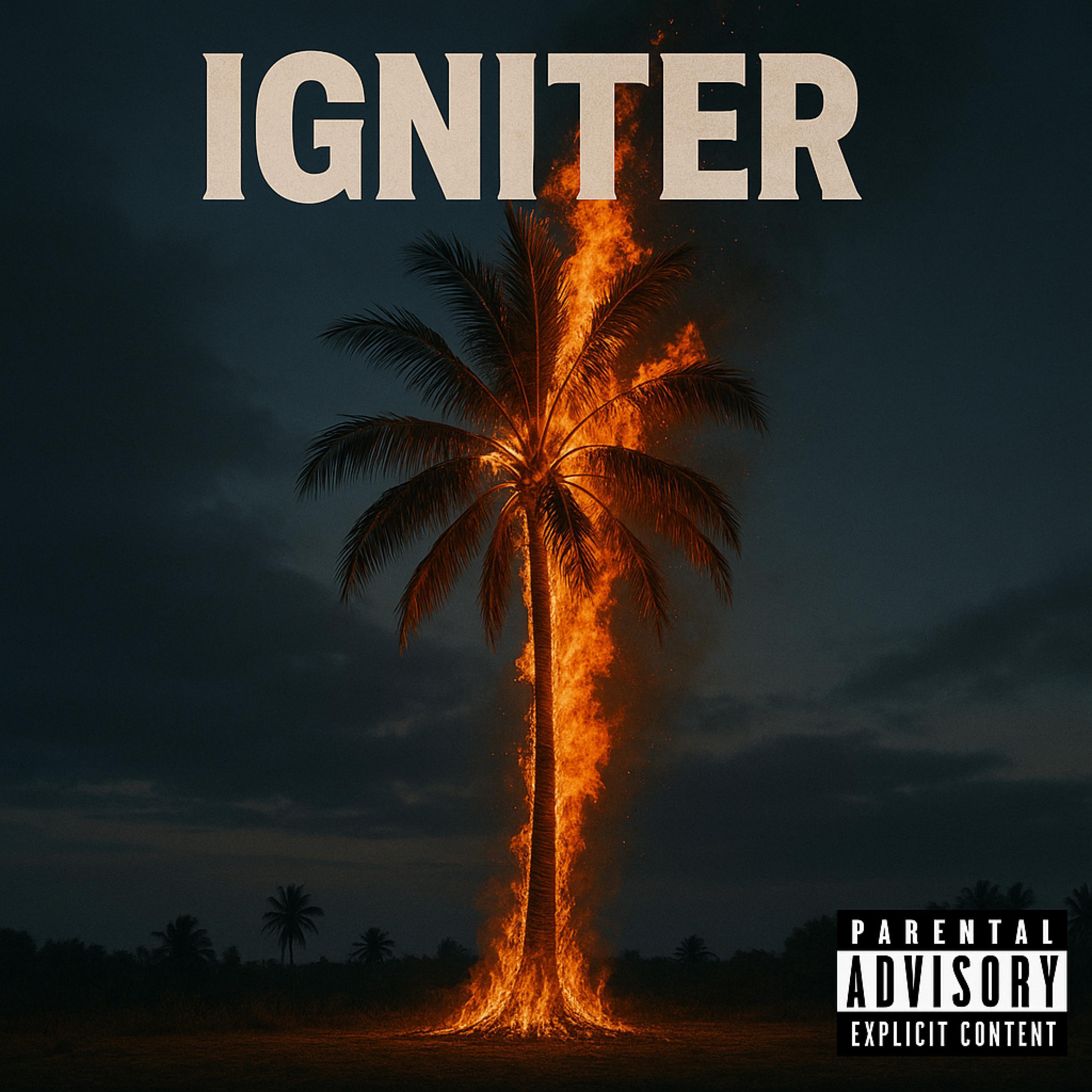 Igniter