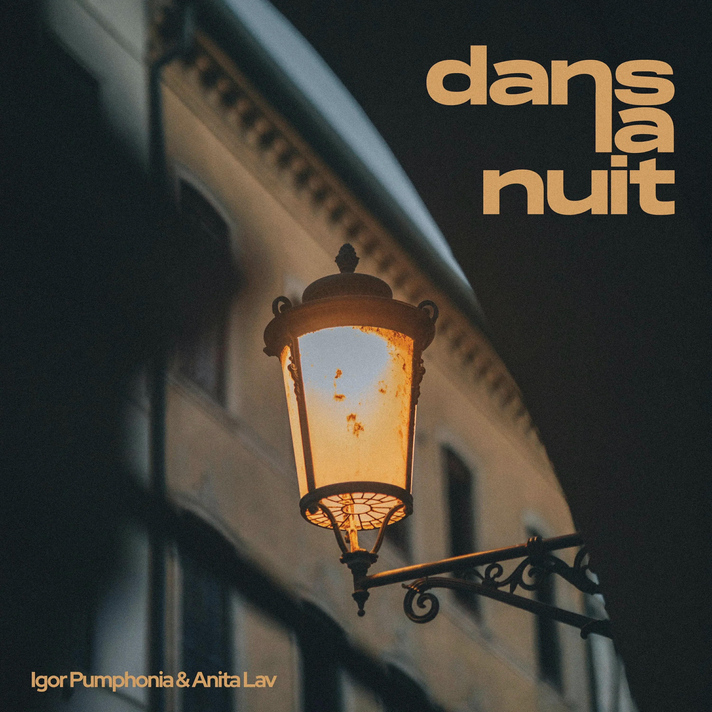 Dans La Nuit