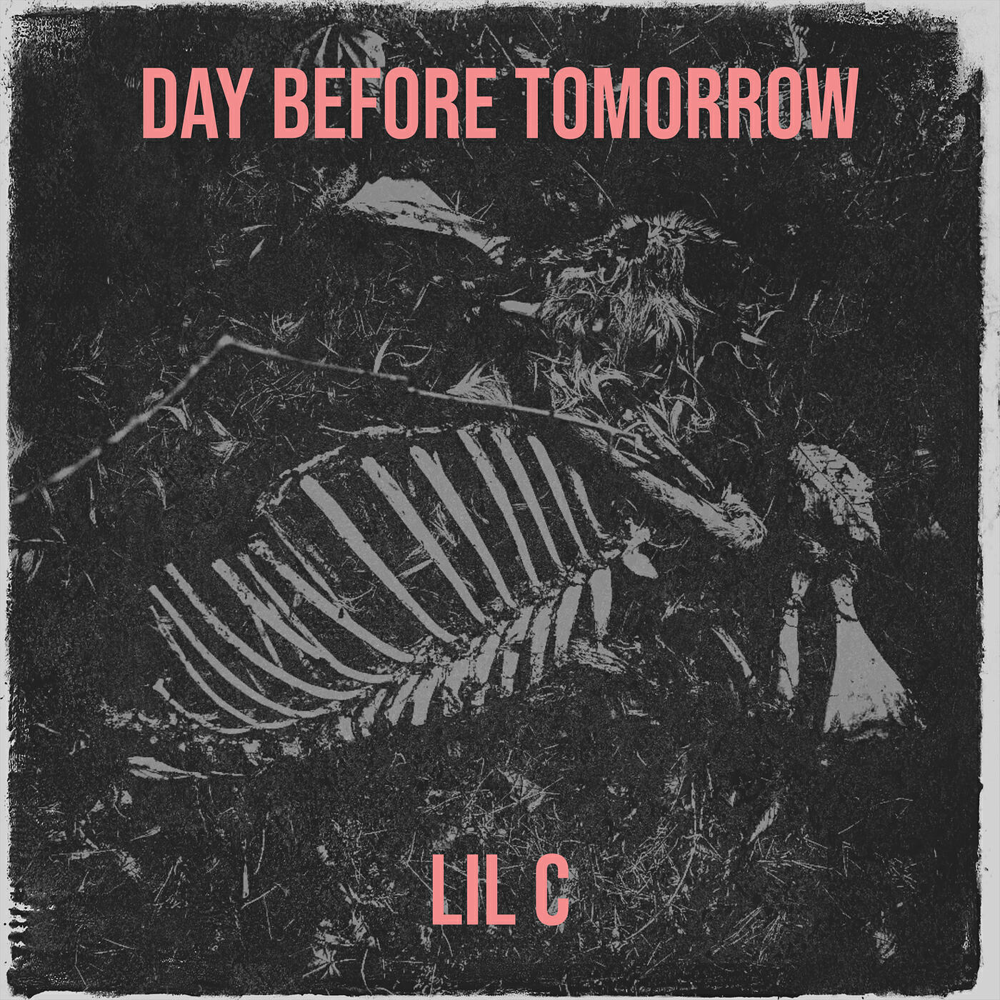 Day Before Tomorrow