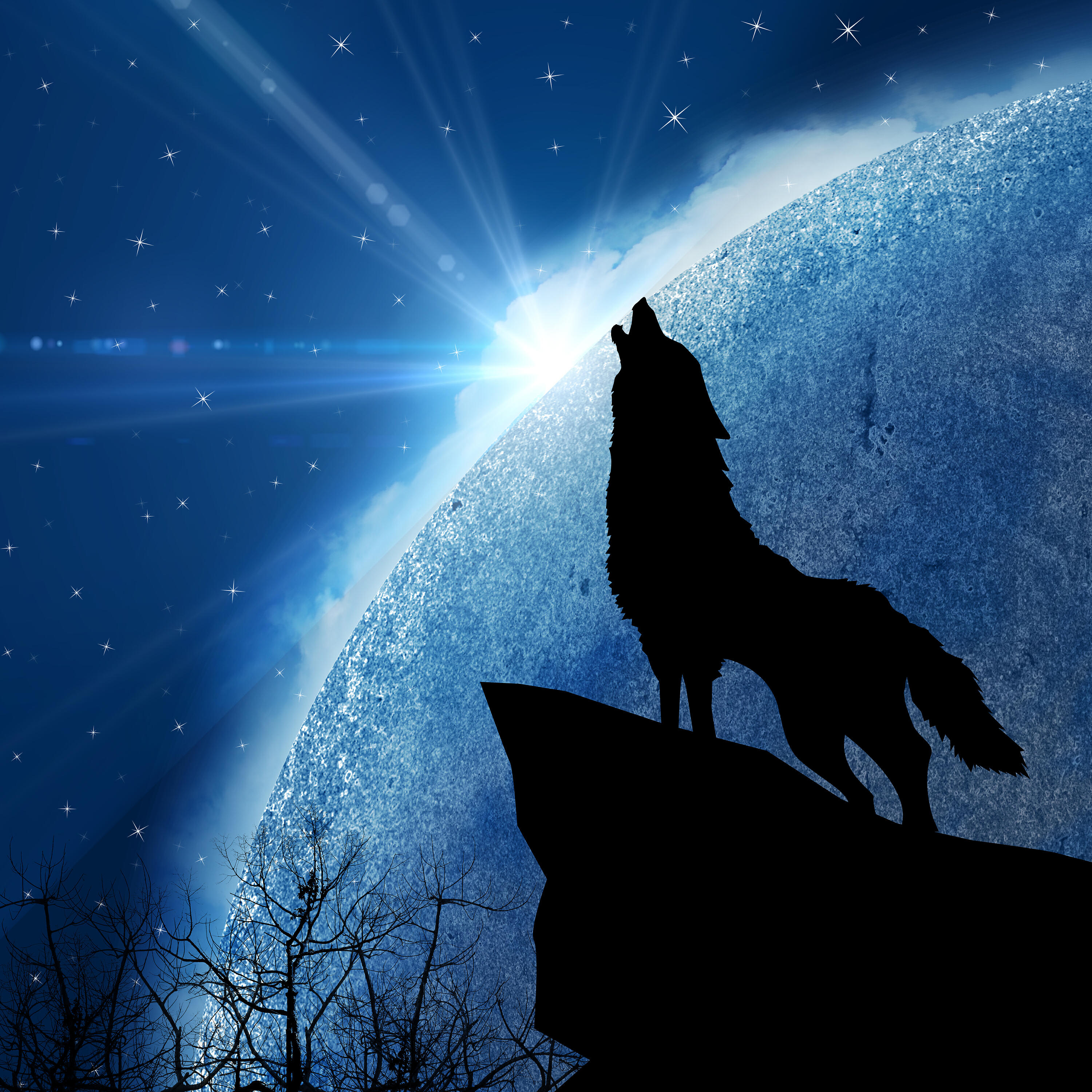 Bluedog