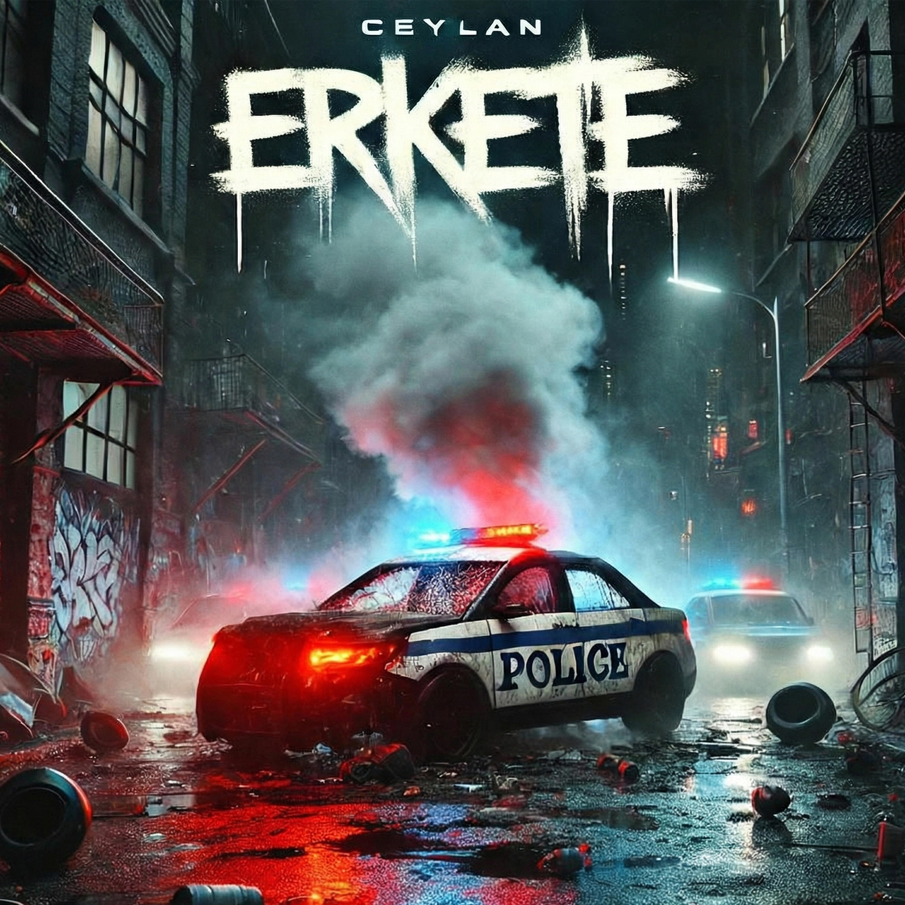 Альбом Erkete исполнителя Ceylan