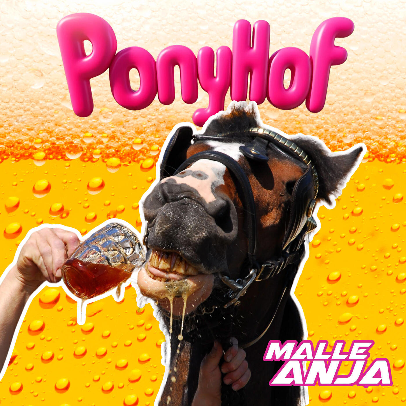 PONYHOF