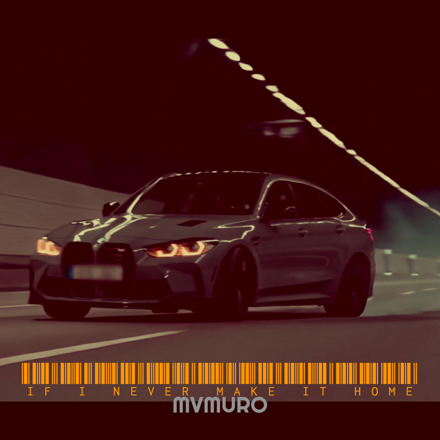 If I Never Make It Home