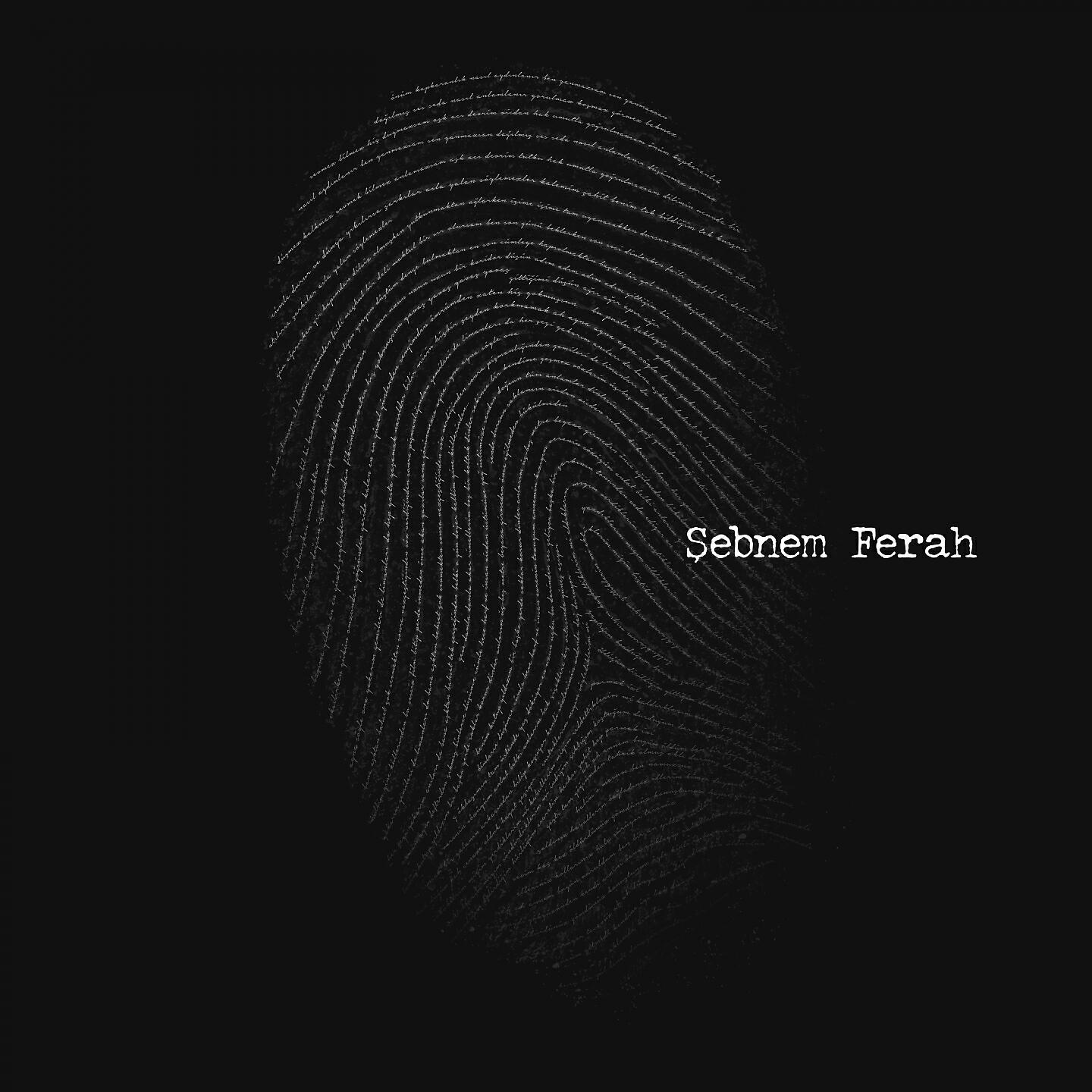 Альбом Parmak İzi исполнителя Şebnem Ferah