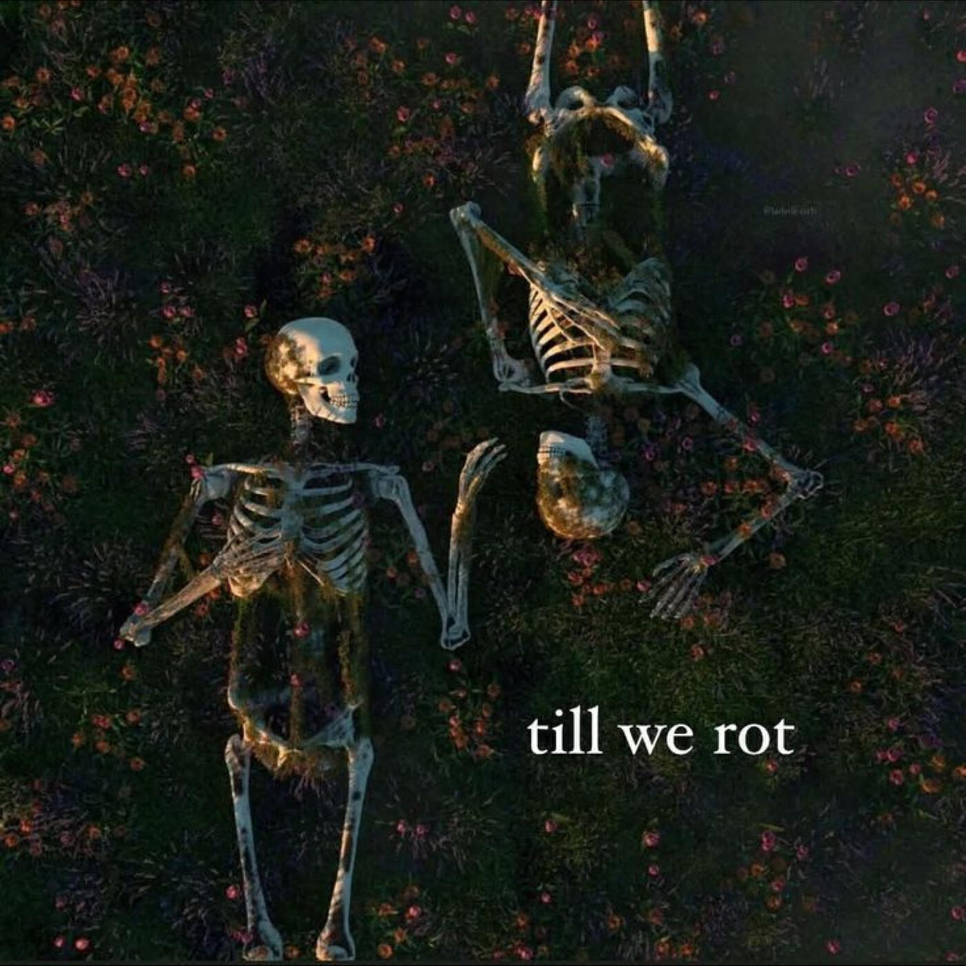 Альбом Till We Rot исполнителя Axile