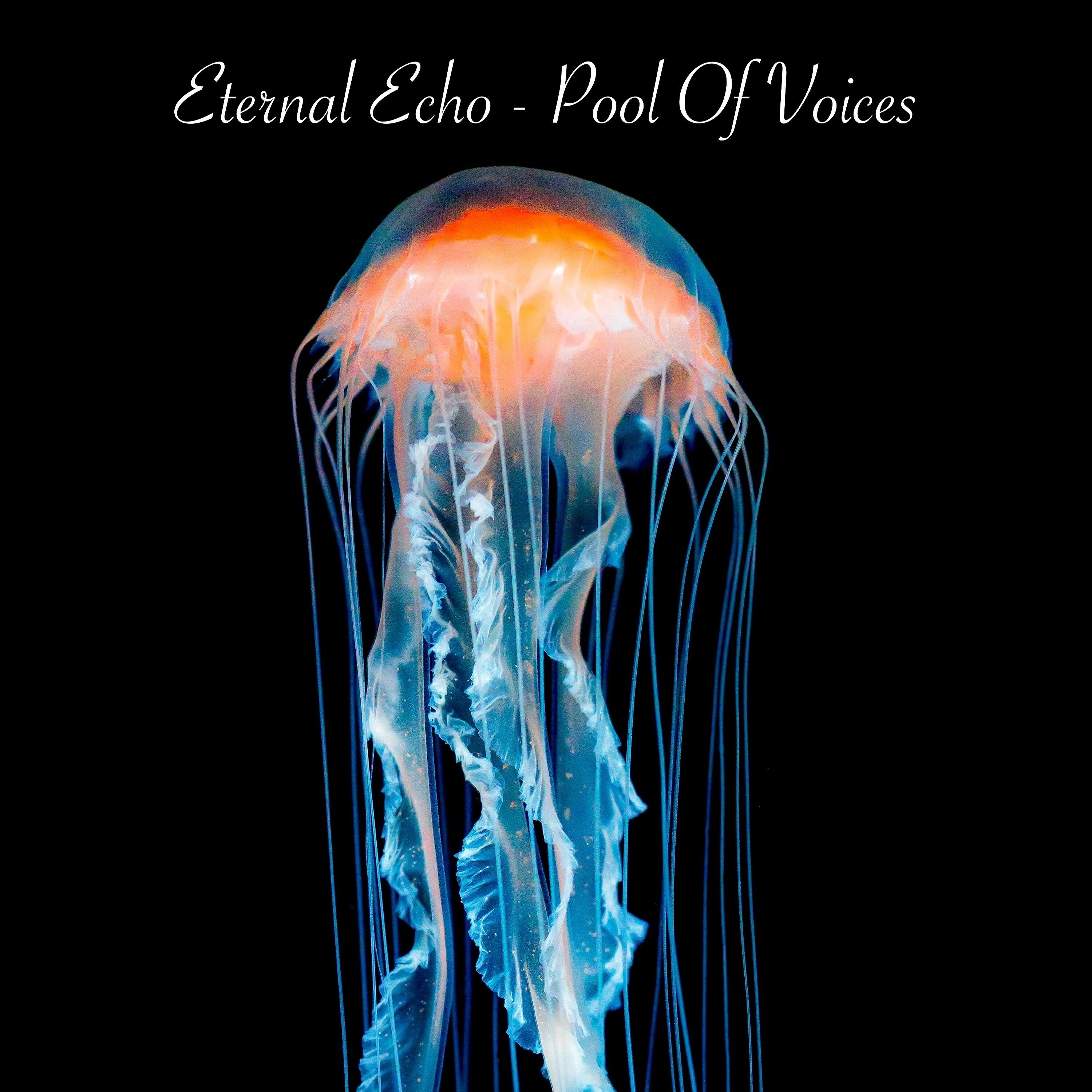 Альбом Pool of Voices исполнителя Eternal Echo