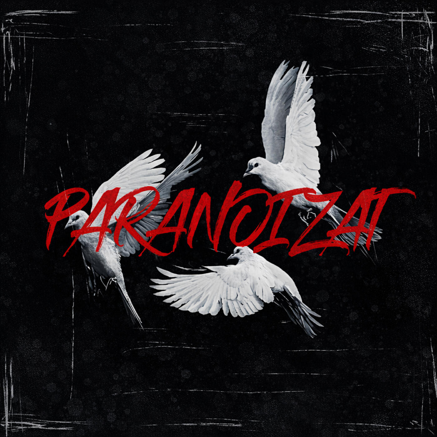 Paranoizat