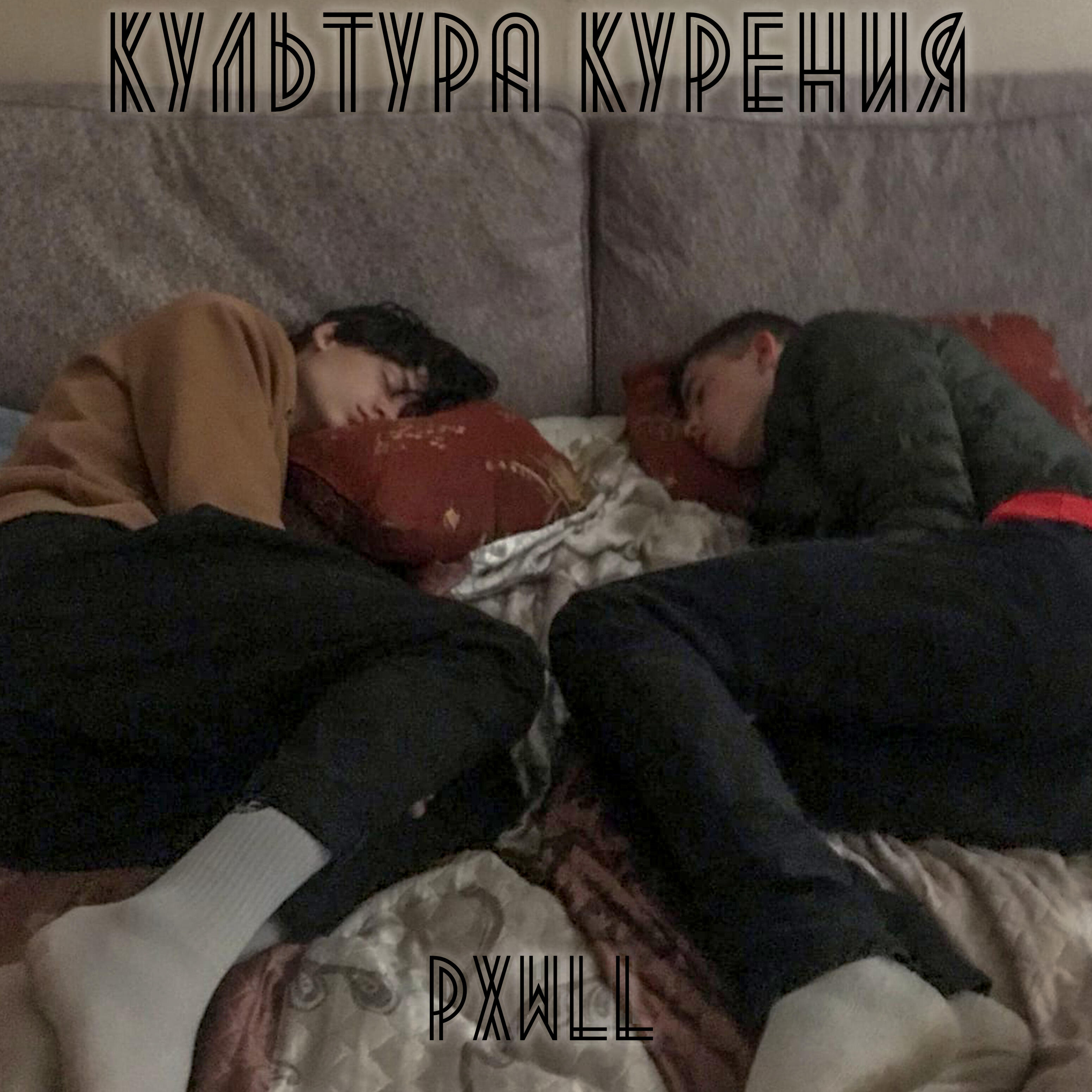 PXWLL, грибовница - Тепло в пакетах