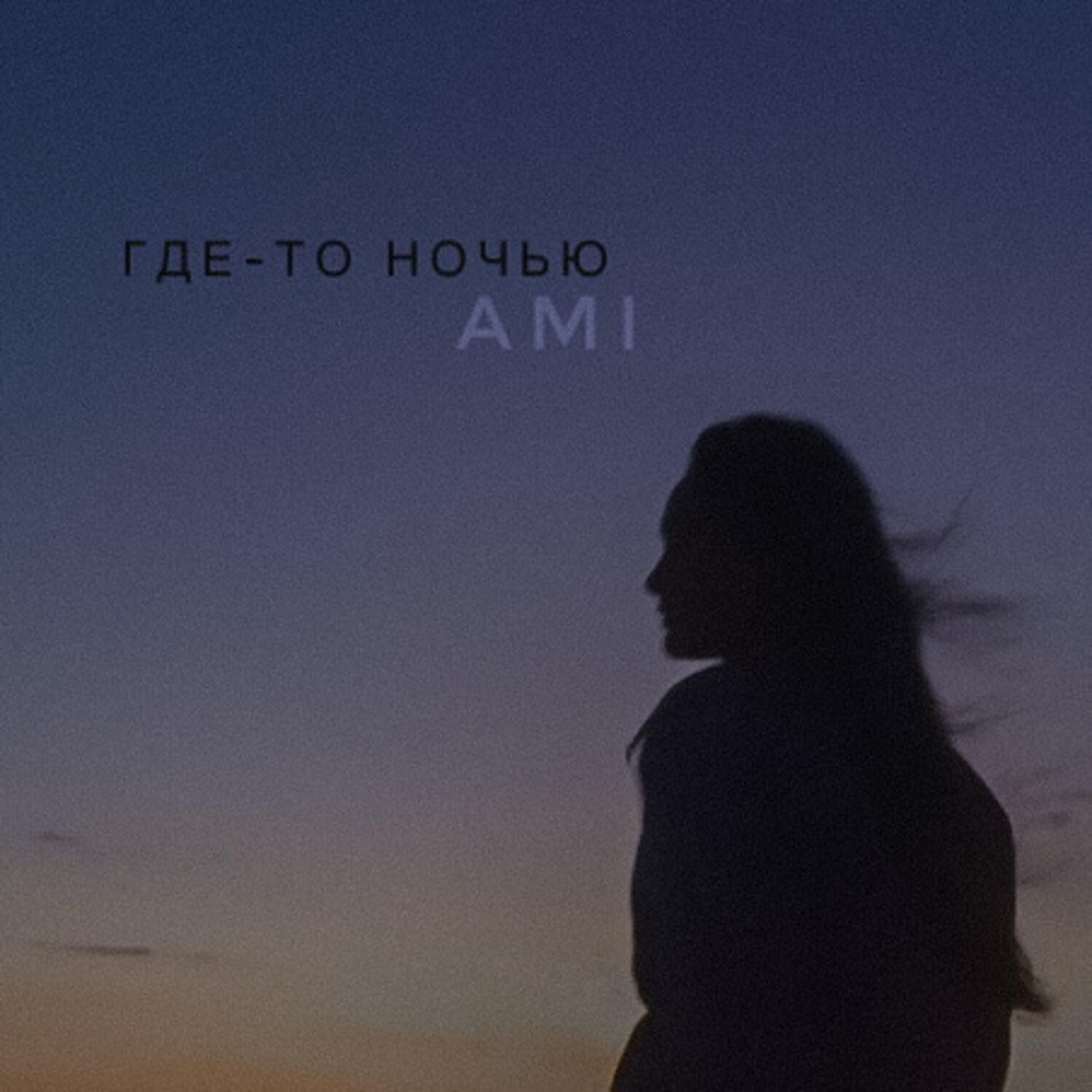 Где-то ночью