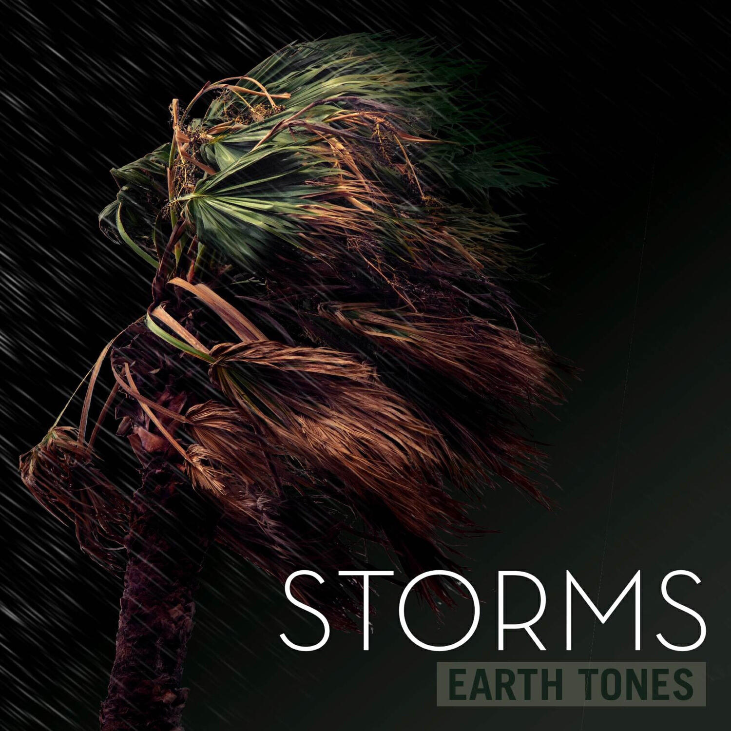 Альбом Earth Tones: Storms исполнителя Bleeding Fingers