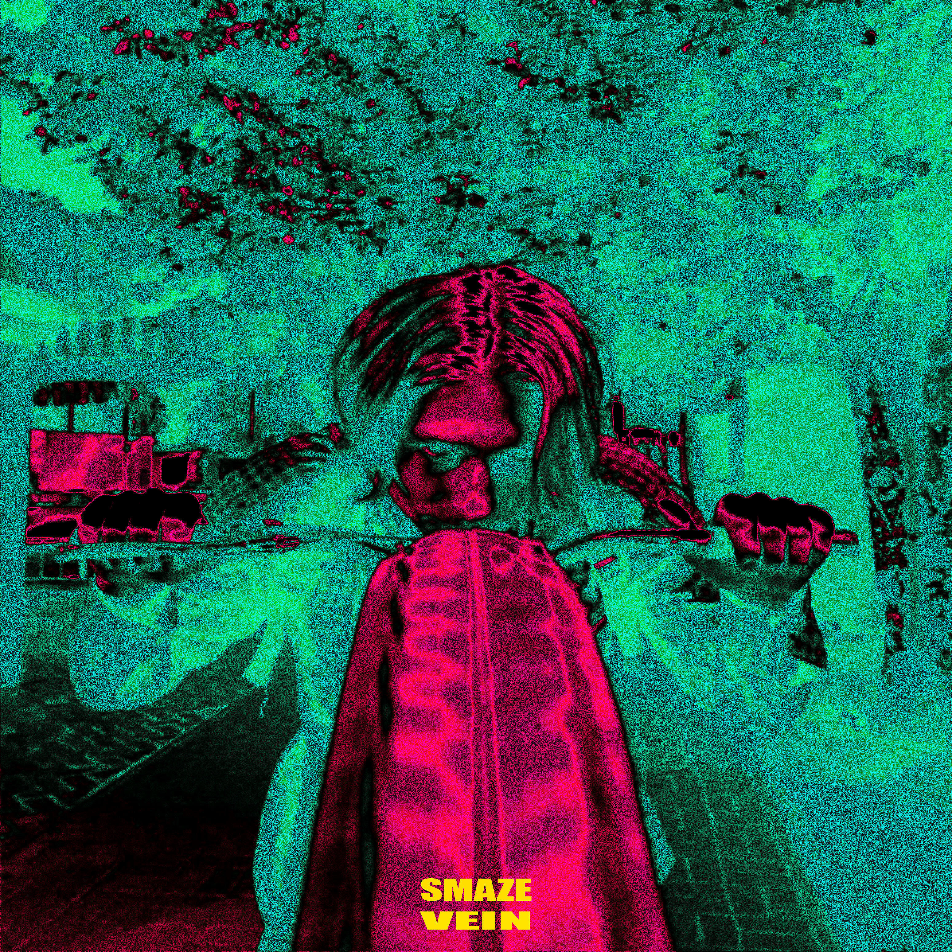 Альбом Vein исполнителя SMAZE