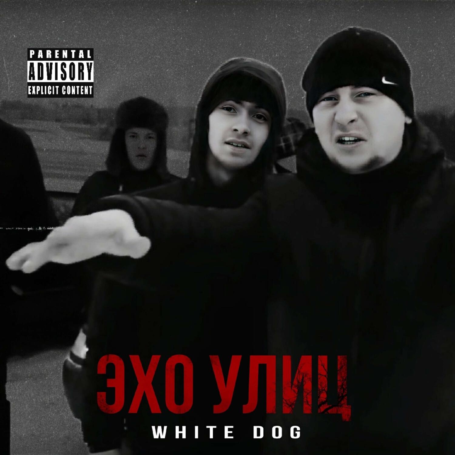 Эхо улиц (prod. by Venry prod.)