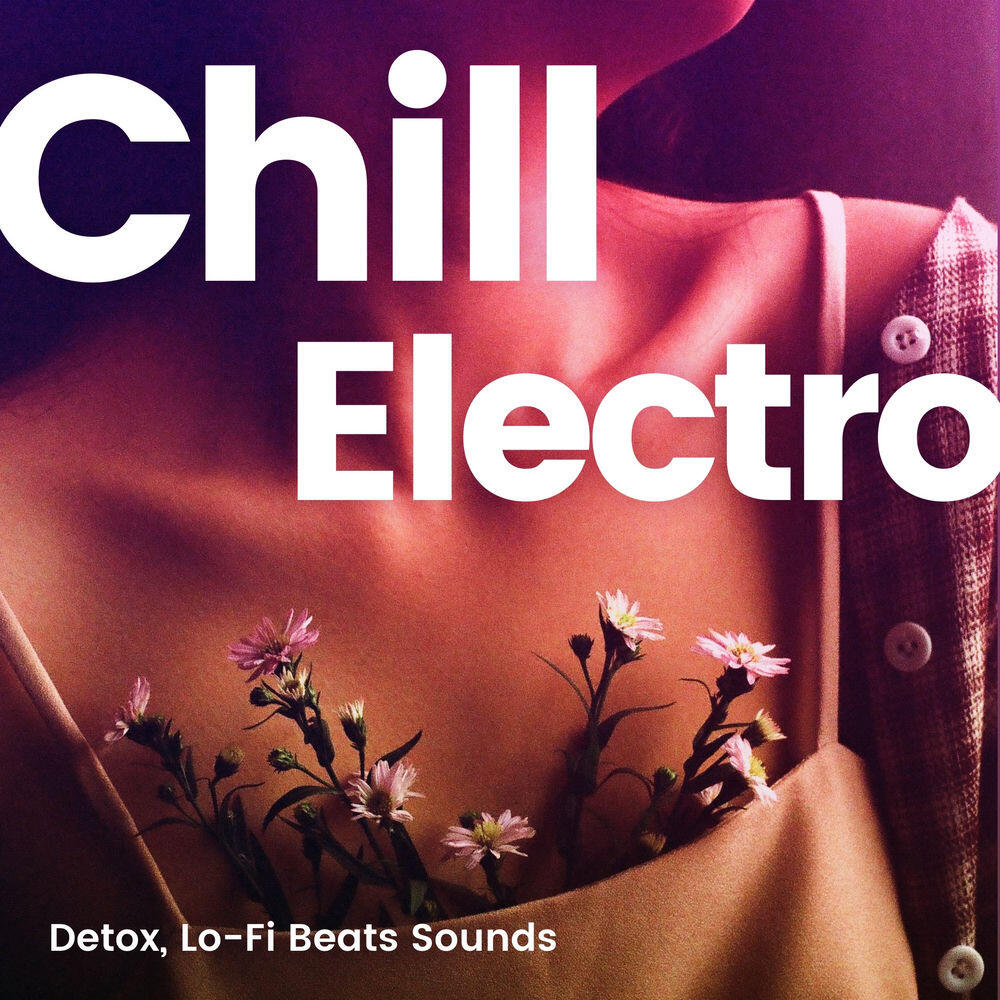 Альбом Chill Electro -デトックス Lo-Fi Beats Sounds- исполнителя Various Artists, Dama, SAKUMAMATATA, 212soundworks, 春日章宏, パンダの中のパンダ, Lyrebirds music, Jazz Studio, PUKASHELL MUSIC, satoshittt, スタスタ梵ズ, MaSssuguMusic, Hazumi