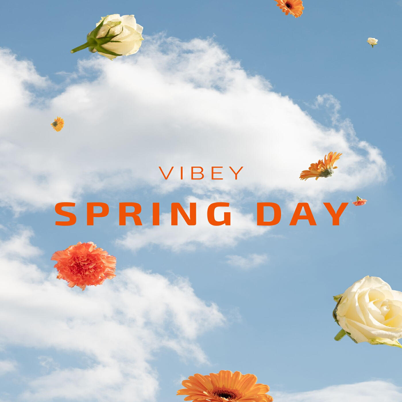 Vibey Spring Day