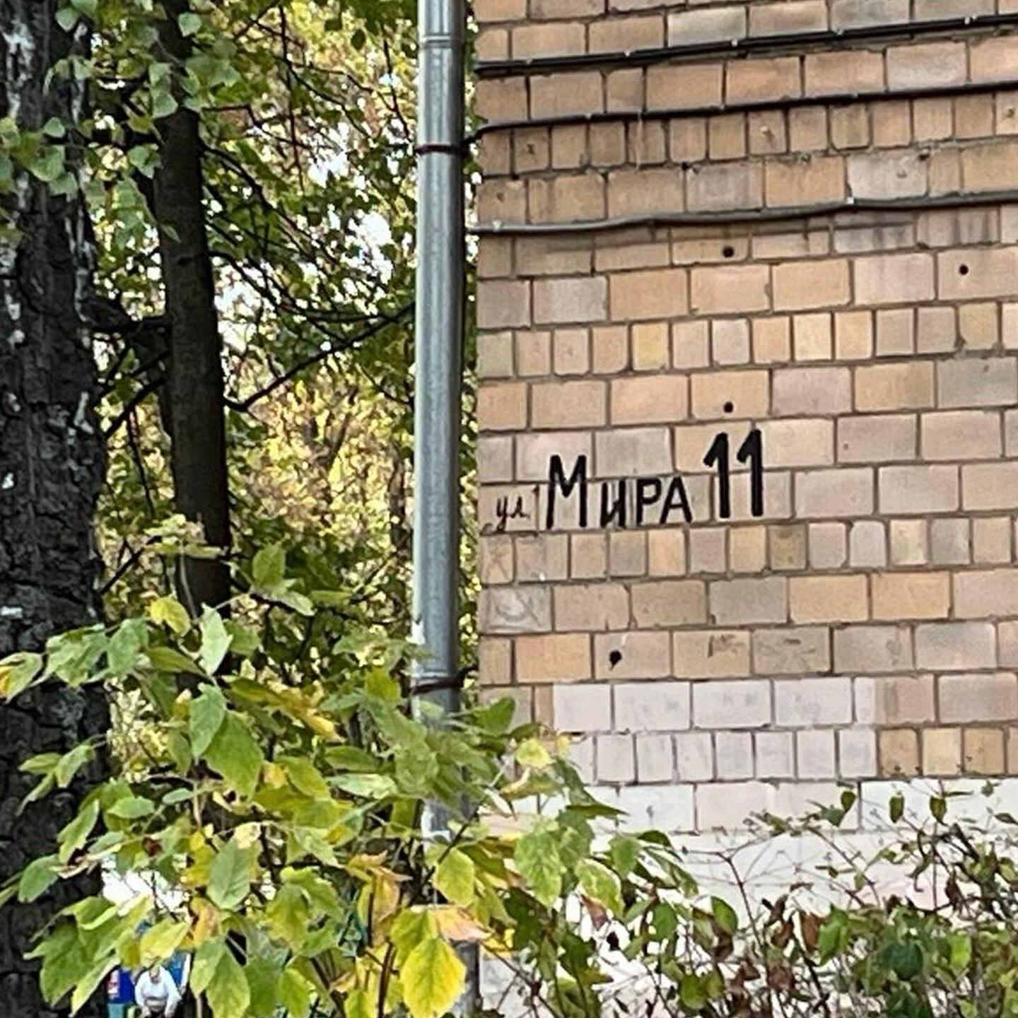 Мира 11