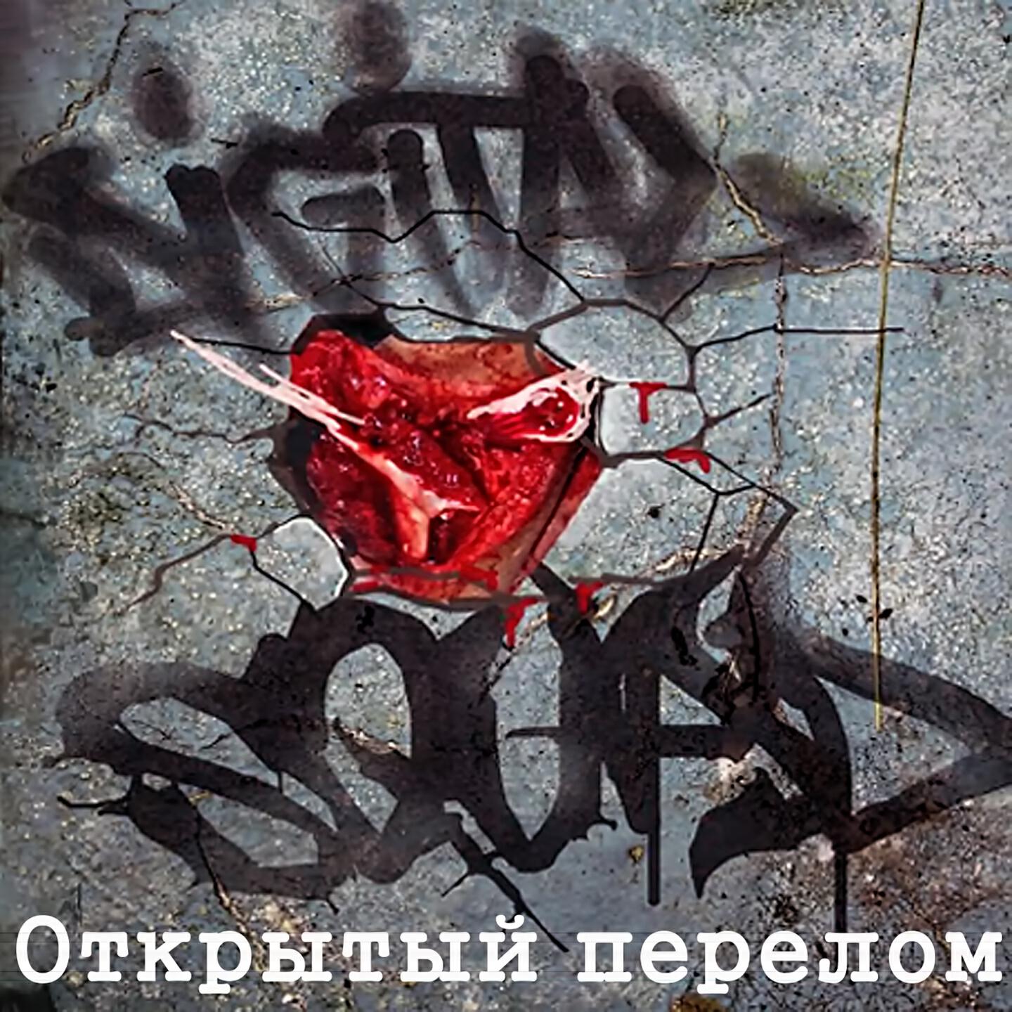 Альбом Открытый перелом исполнителя Digital Squad