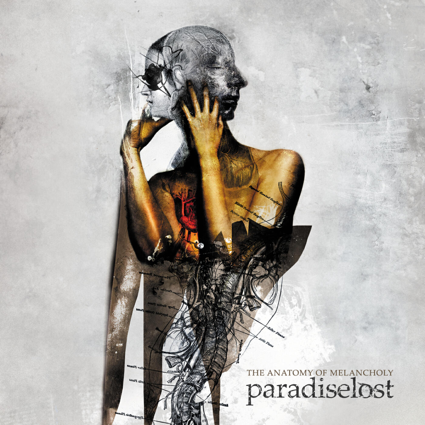 Paradise Lost - As I Die