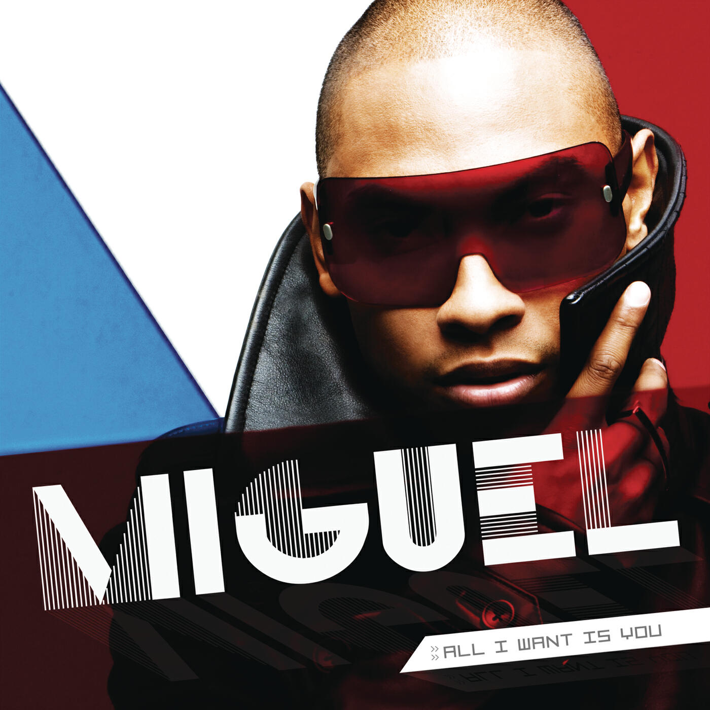 Miguel - Hero
