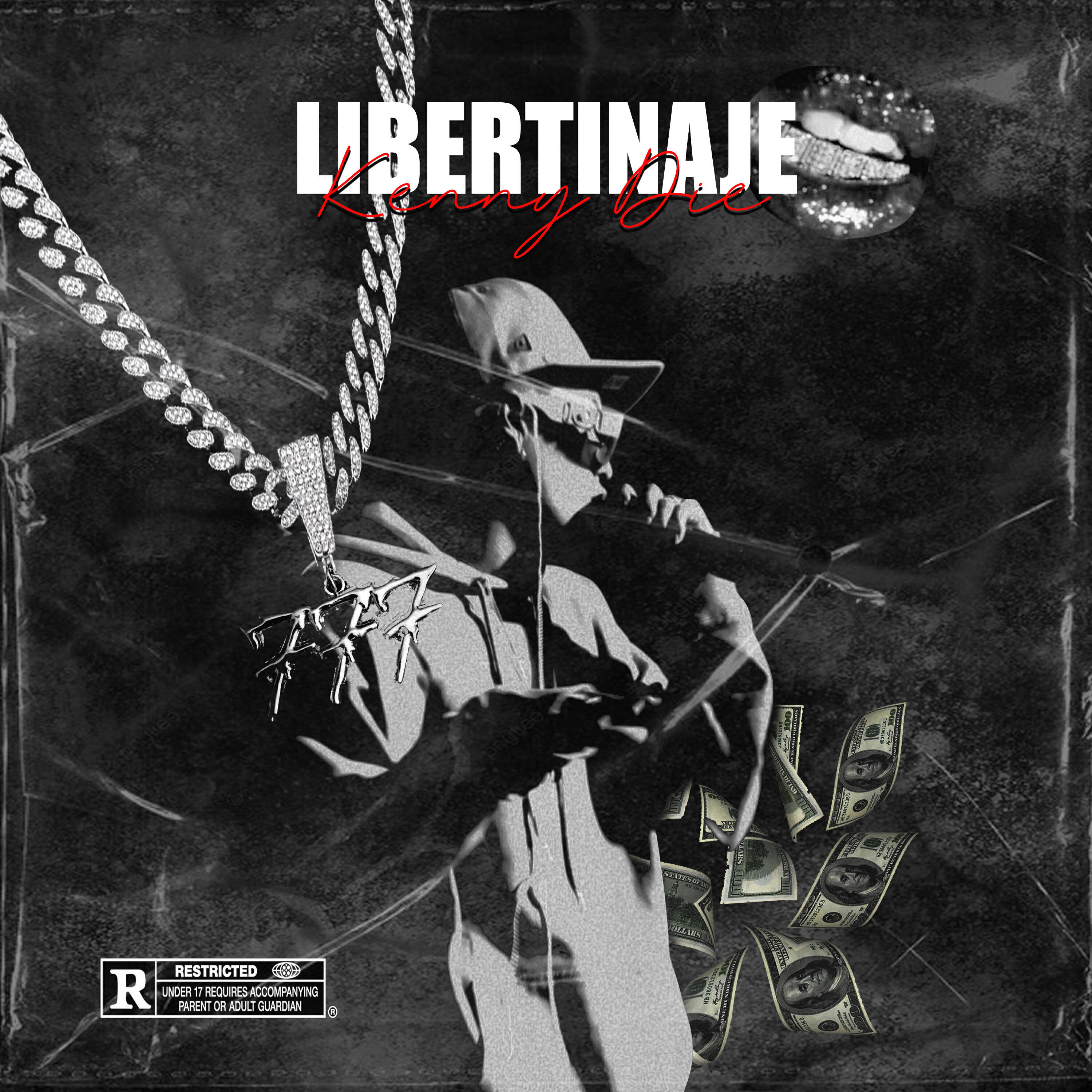 Альбом Libertinaje исполнителя KENNY DIE