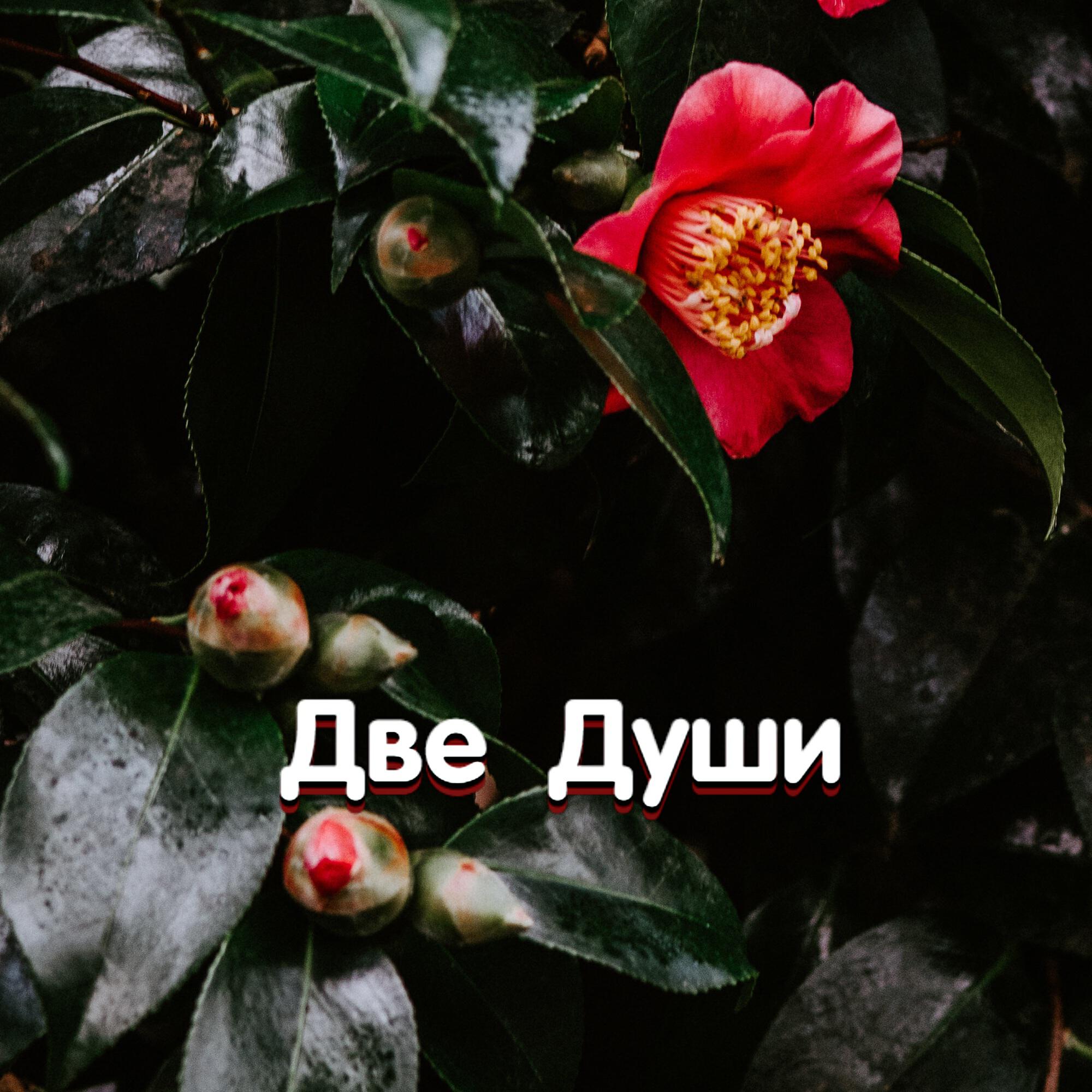 ДВЕ ДУШИ