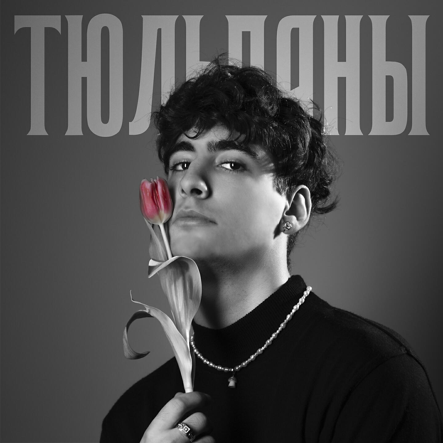 ТЮЛЬПАНЫ