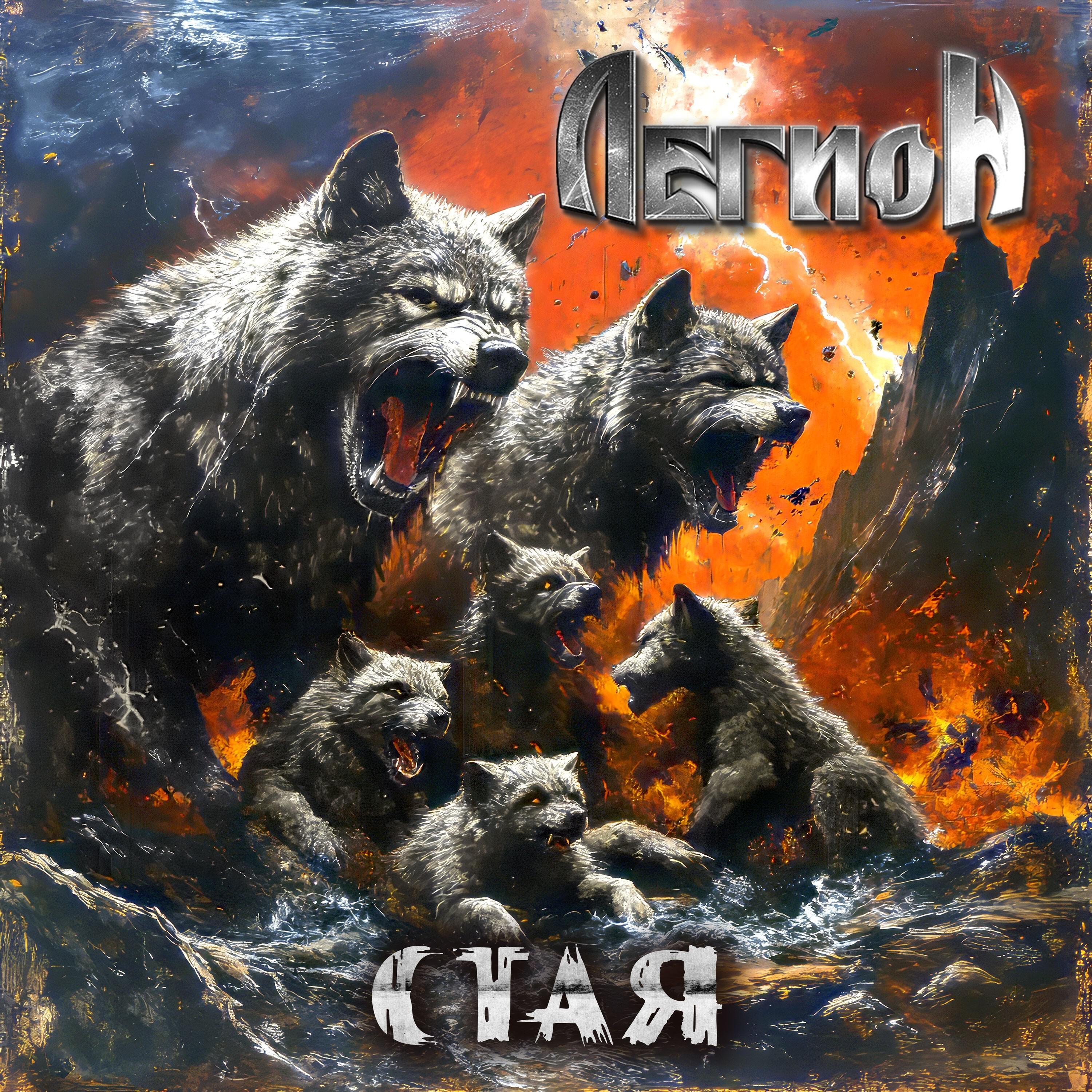 Стая