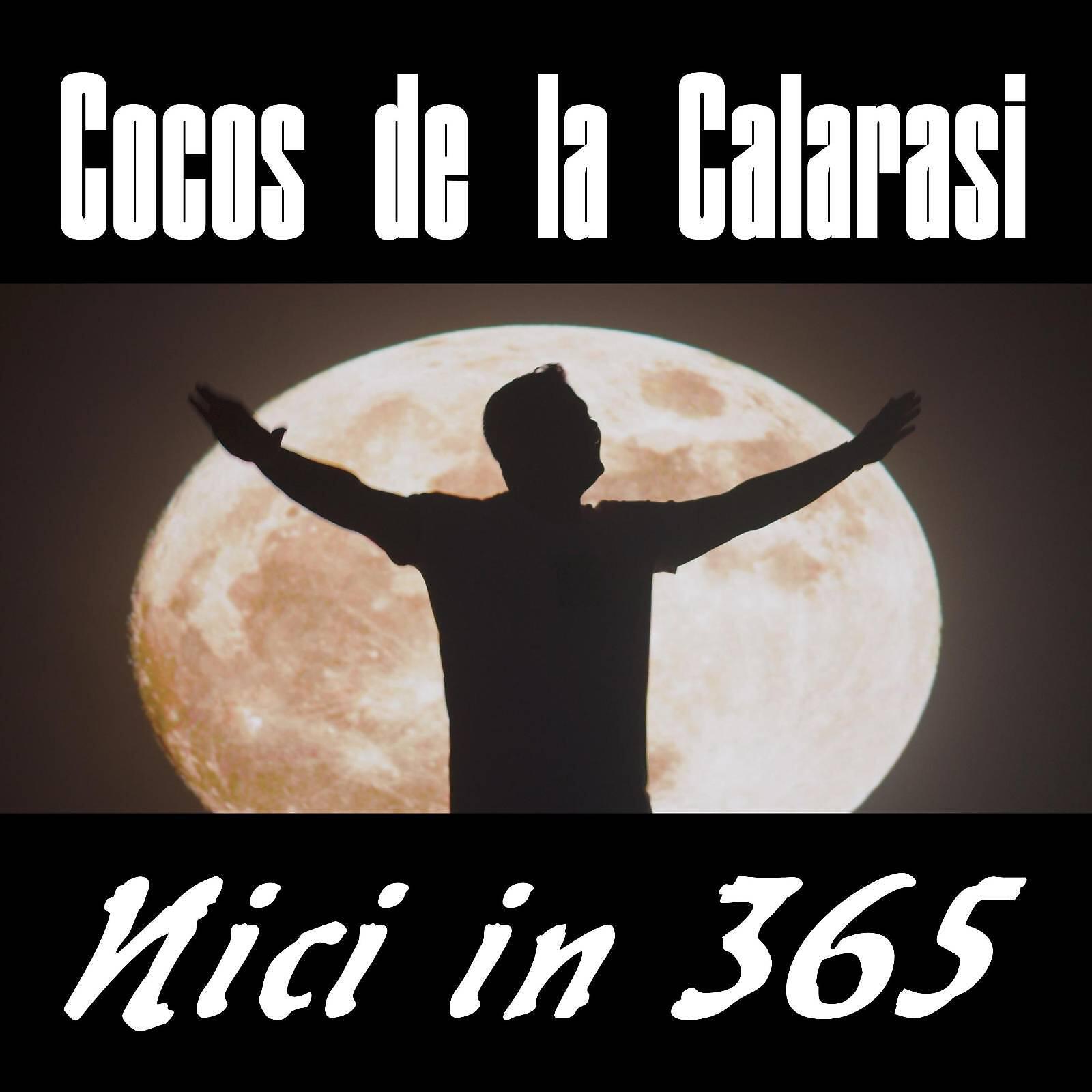 Nici in 365