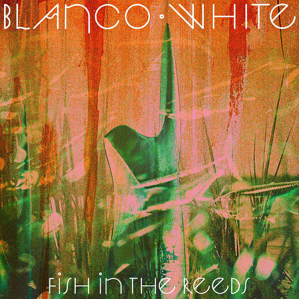 Альбом Fish in the Reeds исполнителя Blanco White