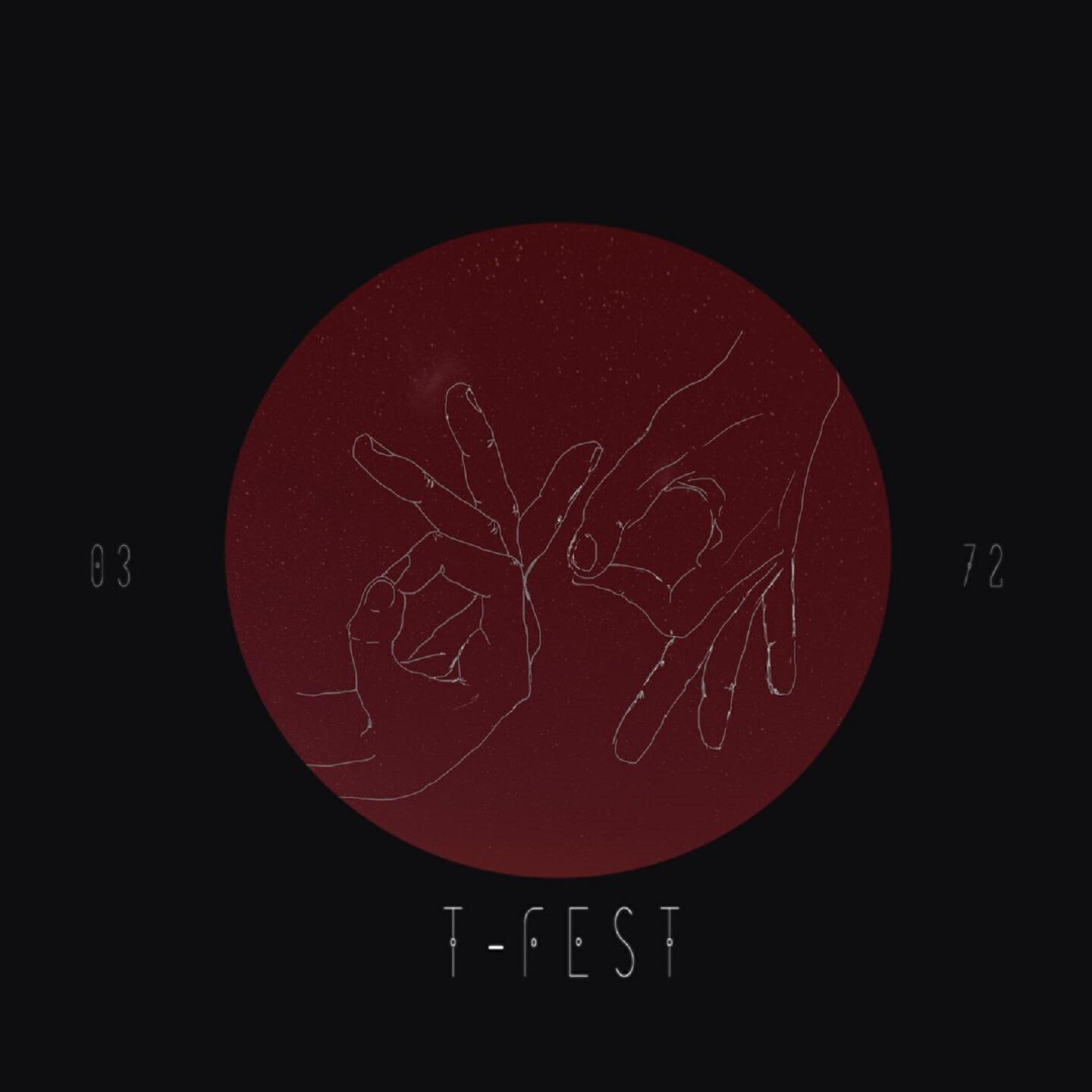 T-Fest - Числа