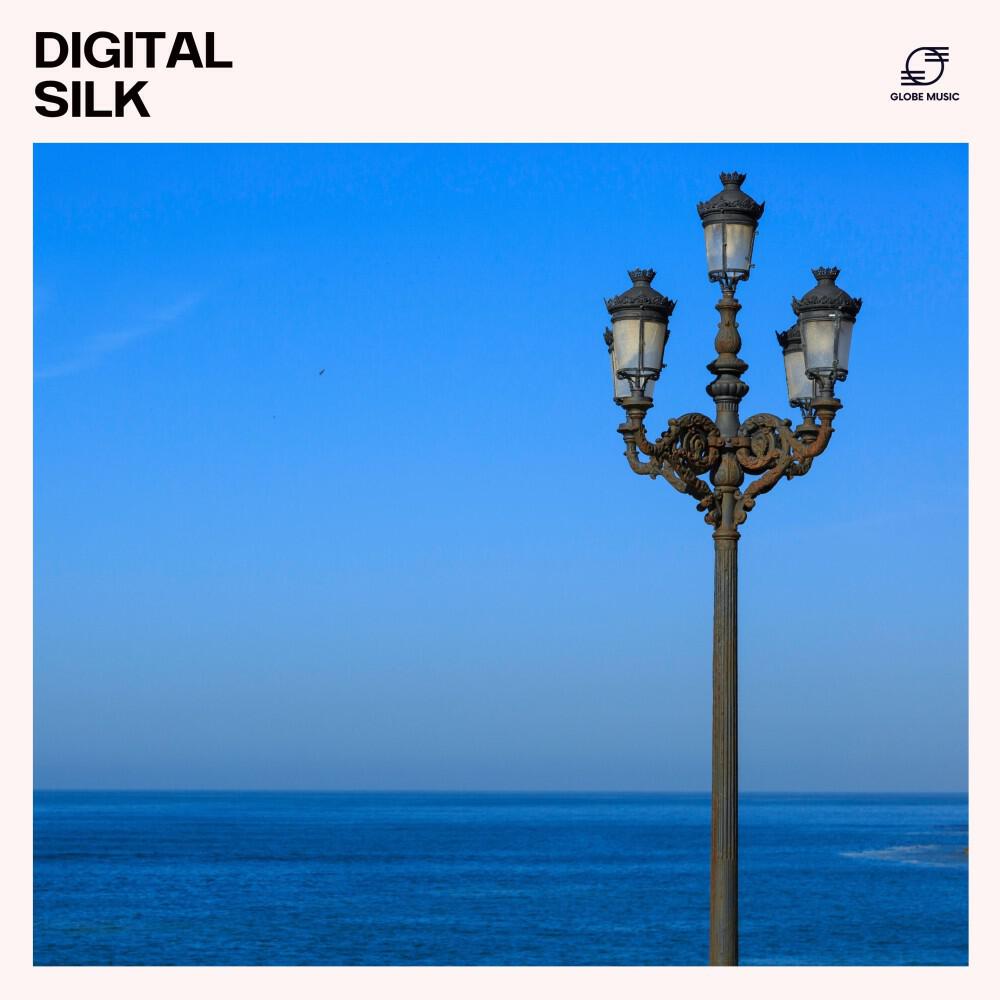 Digital Silk