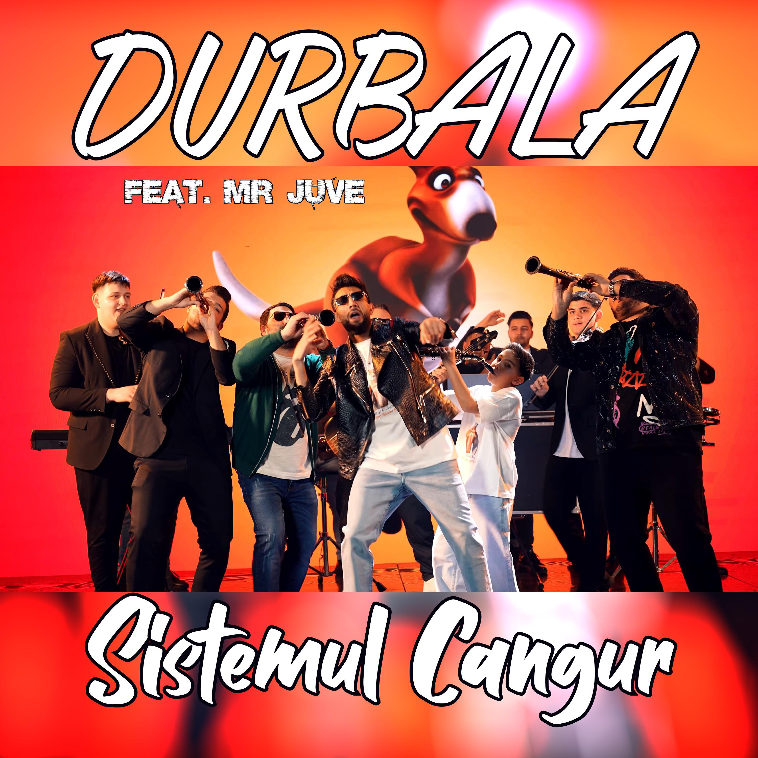 Sistemul Cangur