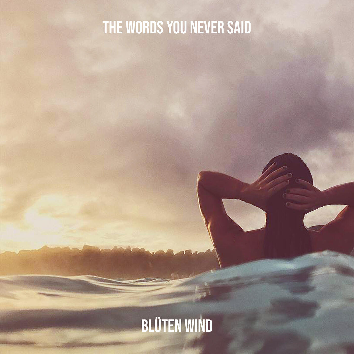 The Words You Never Said