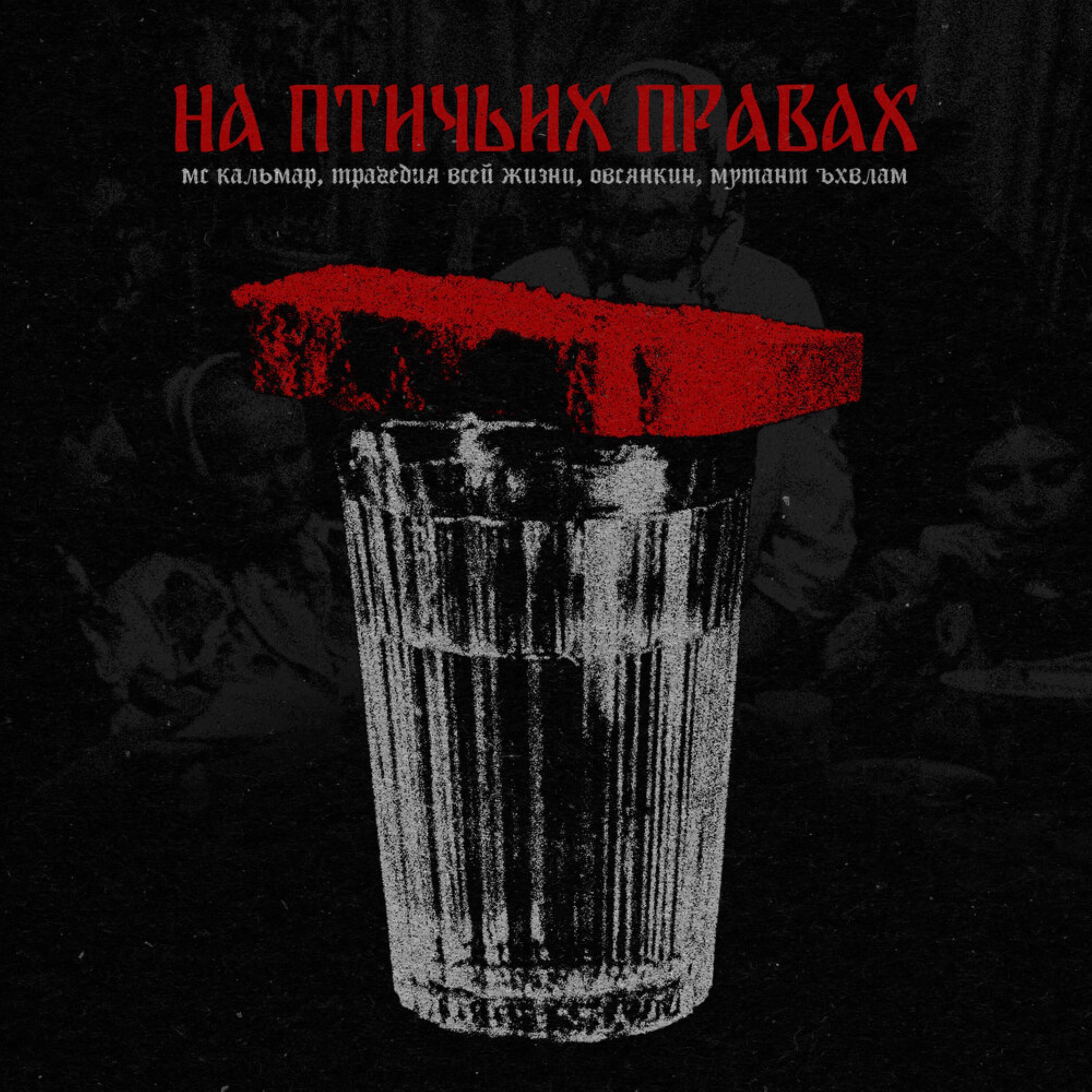 На птичьих правах