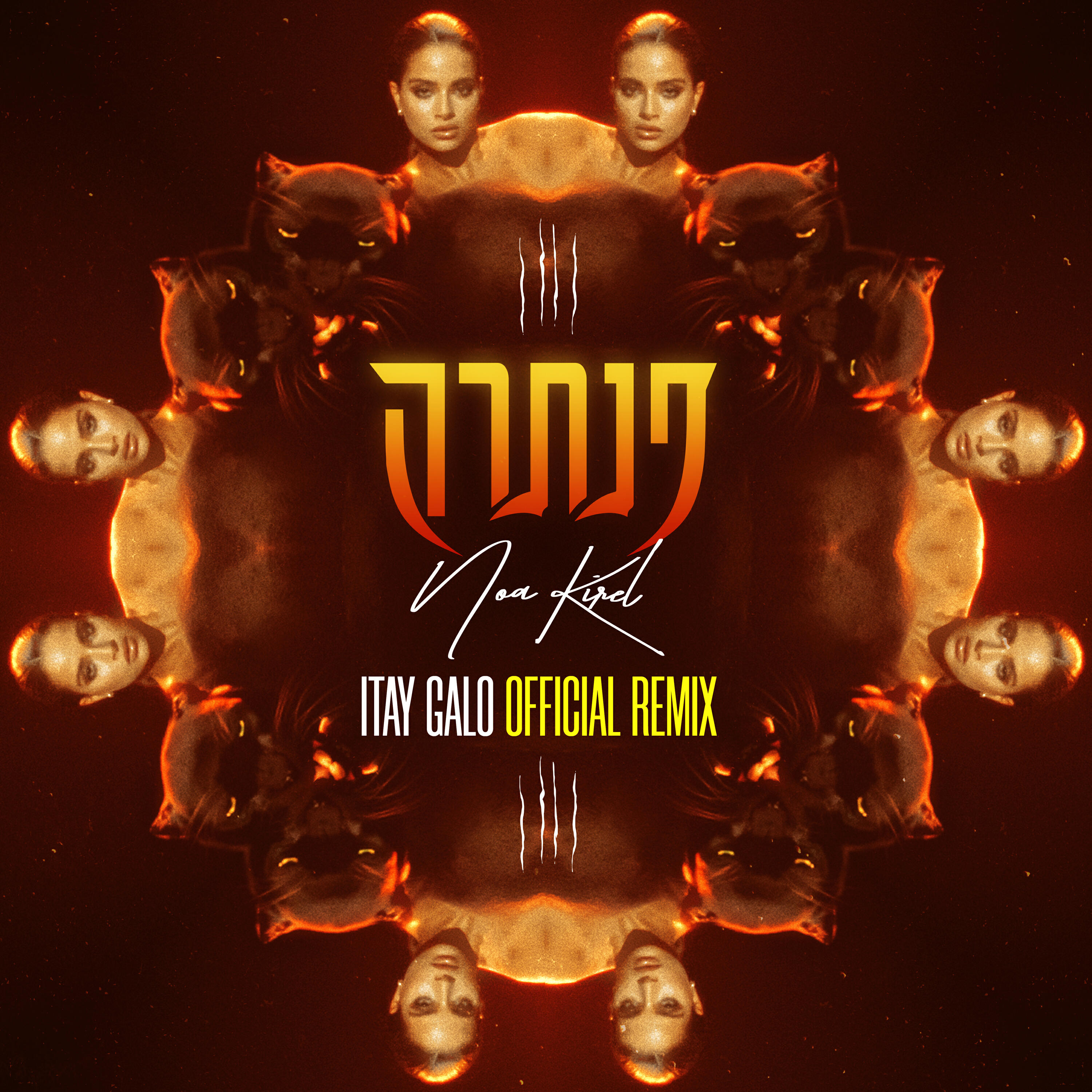 פנתרה (Itay Galo Official Remix)
