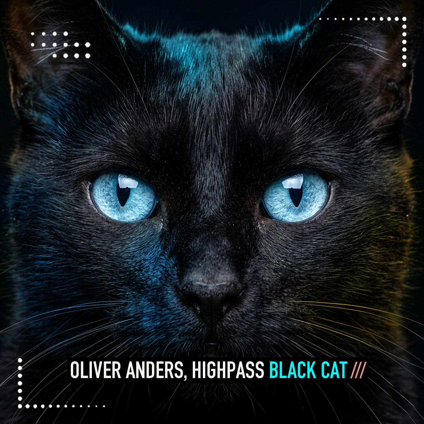 Black Cat