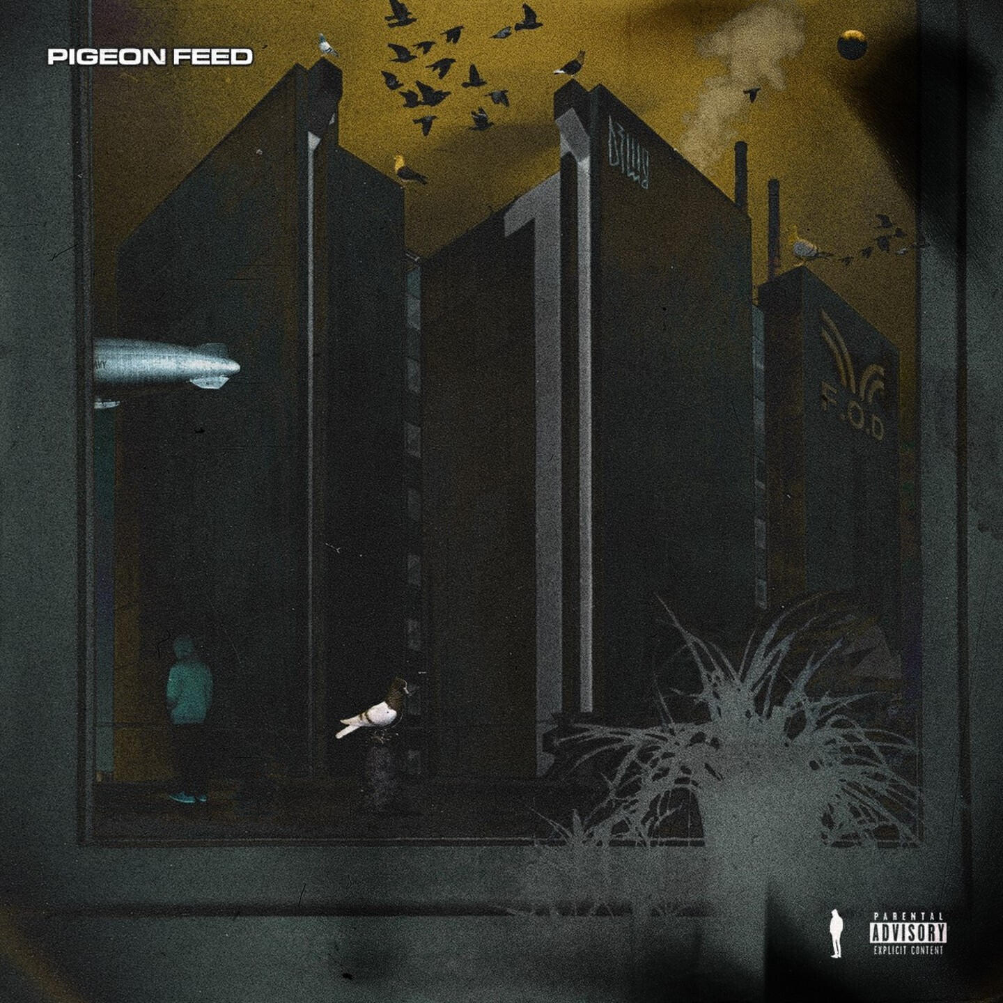 Pigeon F33d
